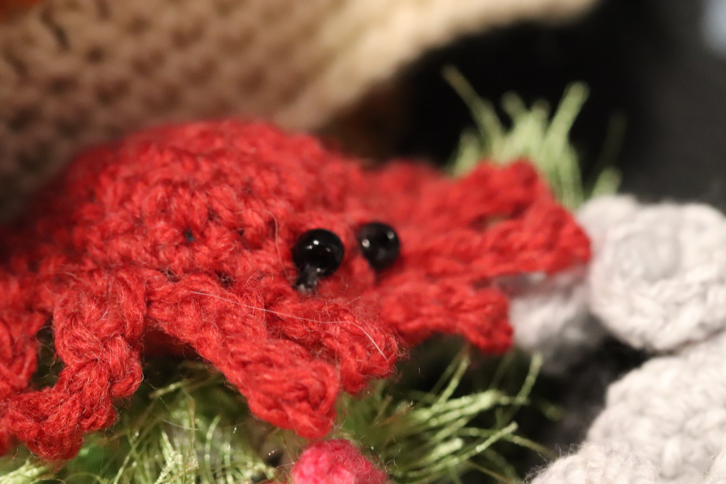 crab1.jpg