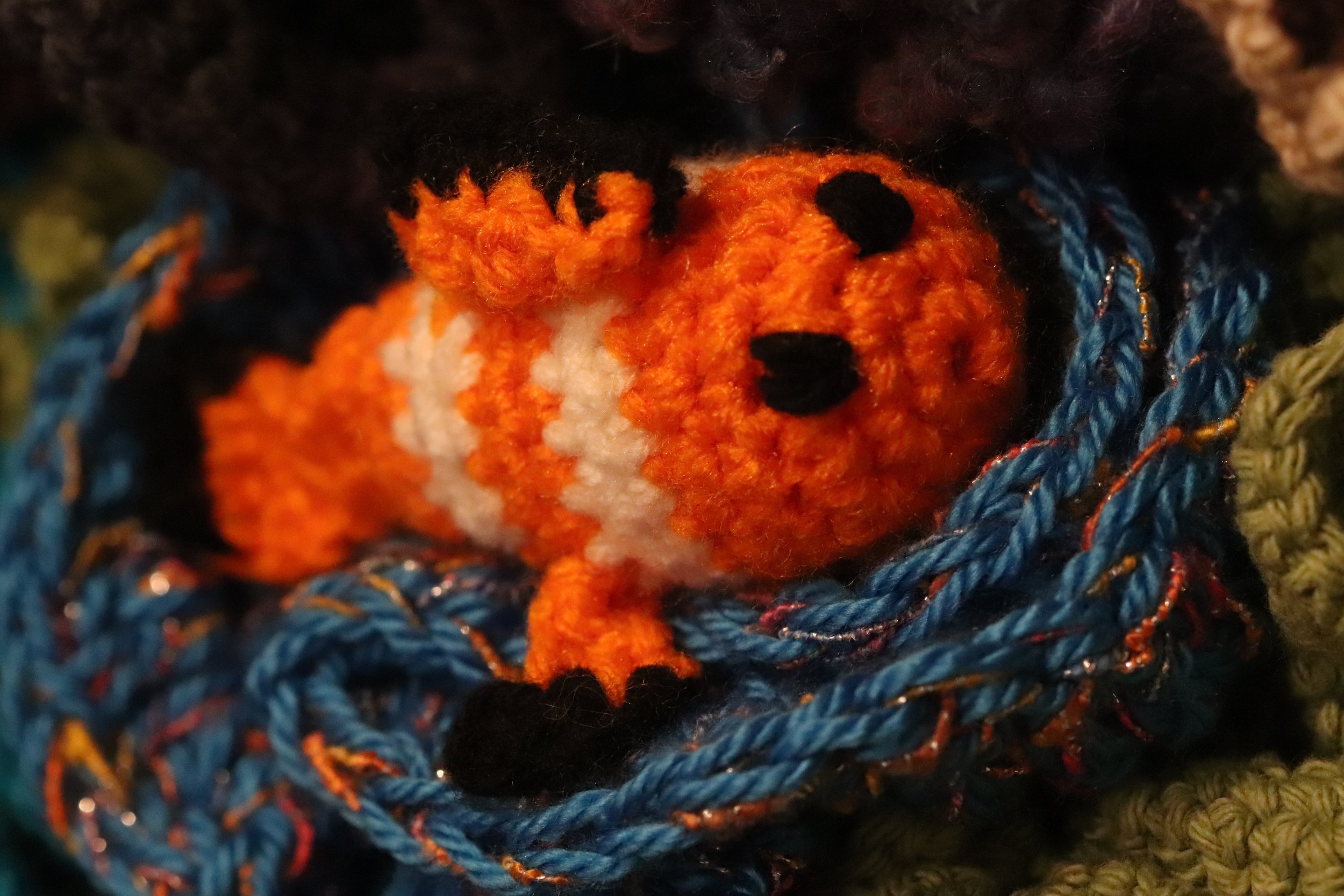 fish1.jpg