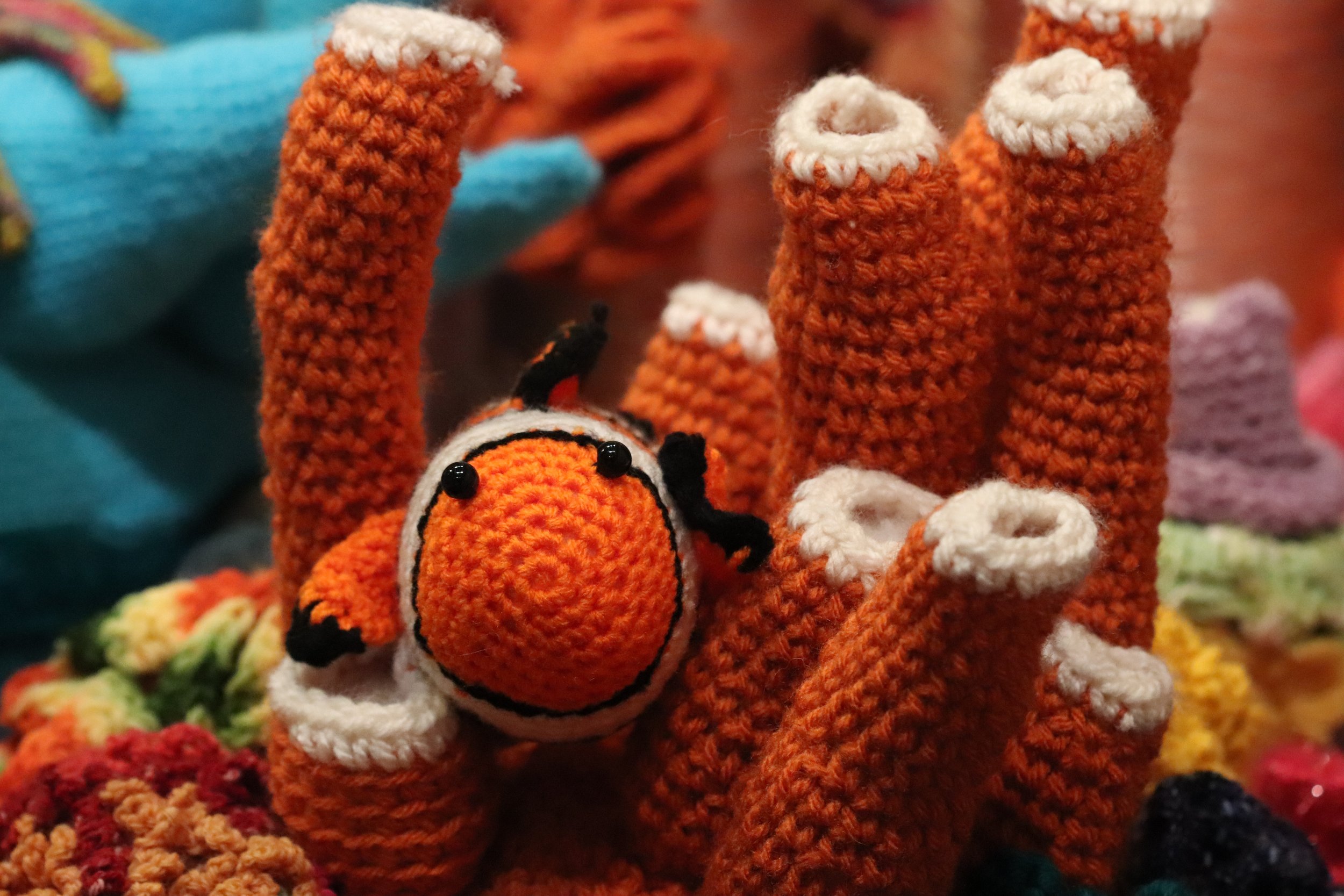 Fishcorals1.jpg