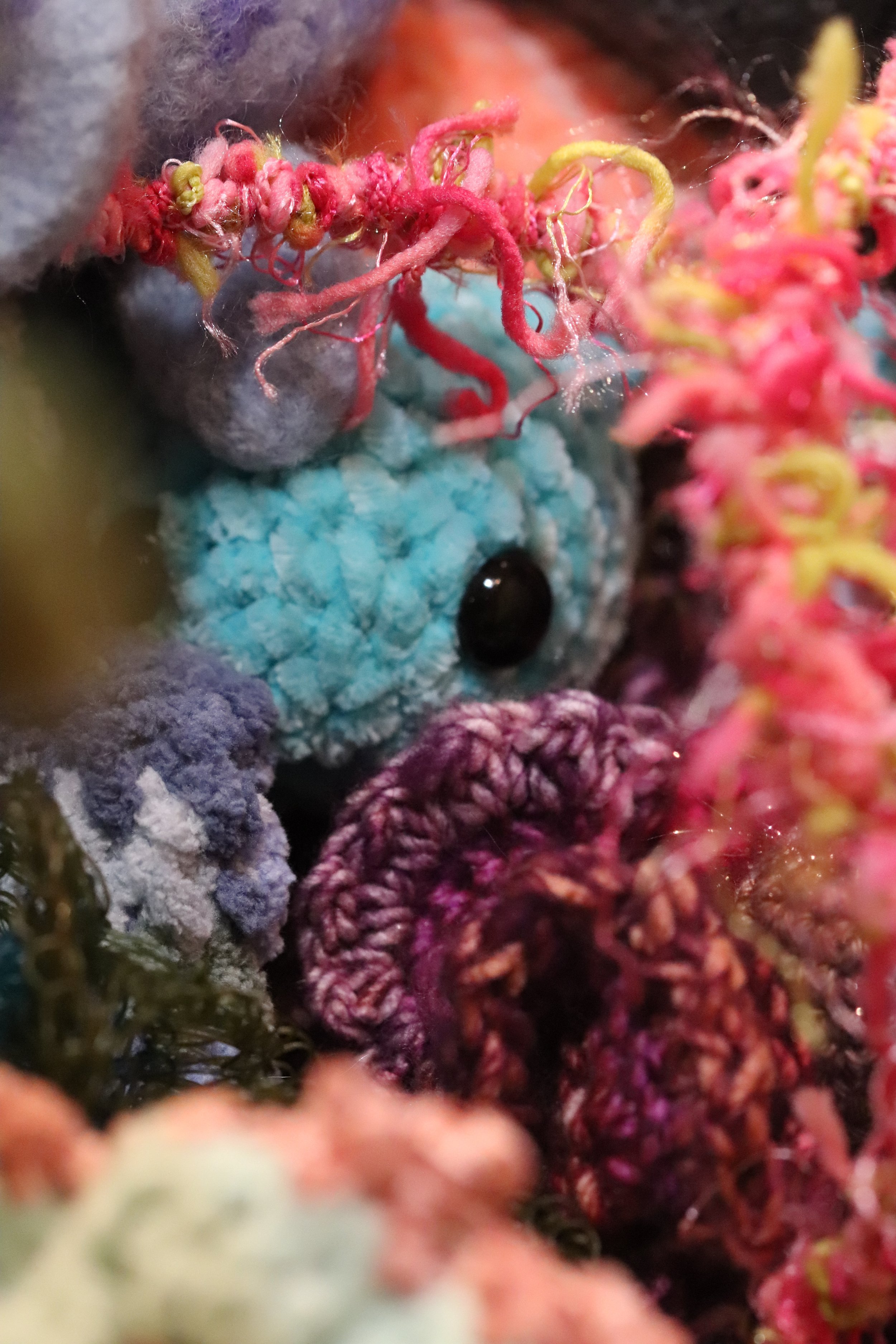 Fishcorals2.jpg