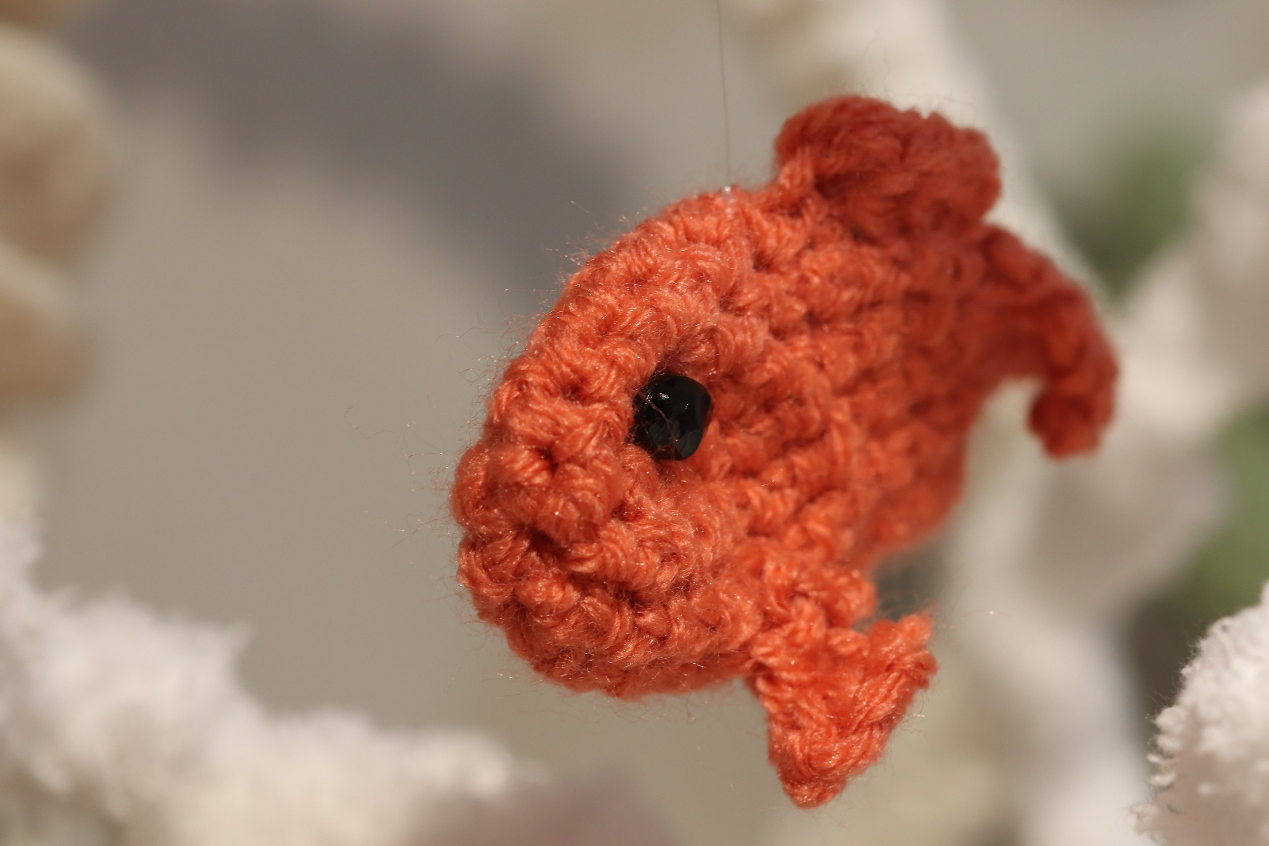 Fishcorals8.jpg