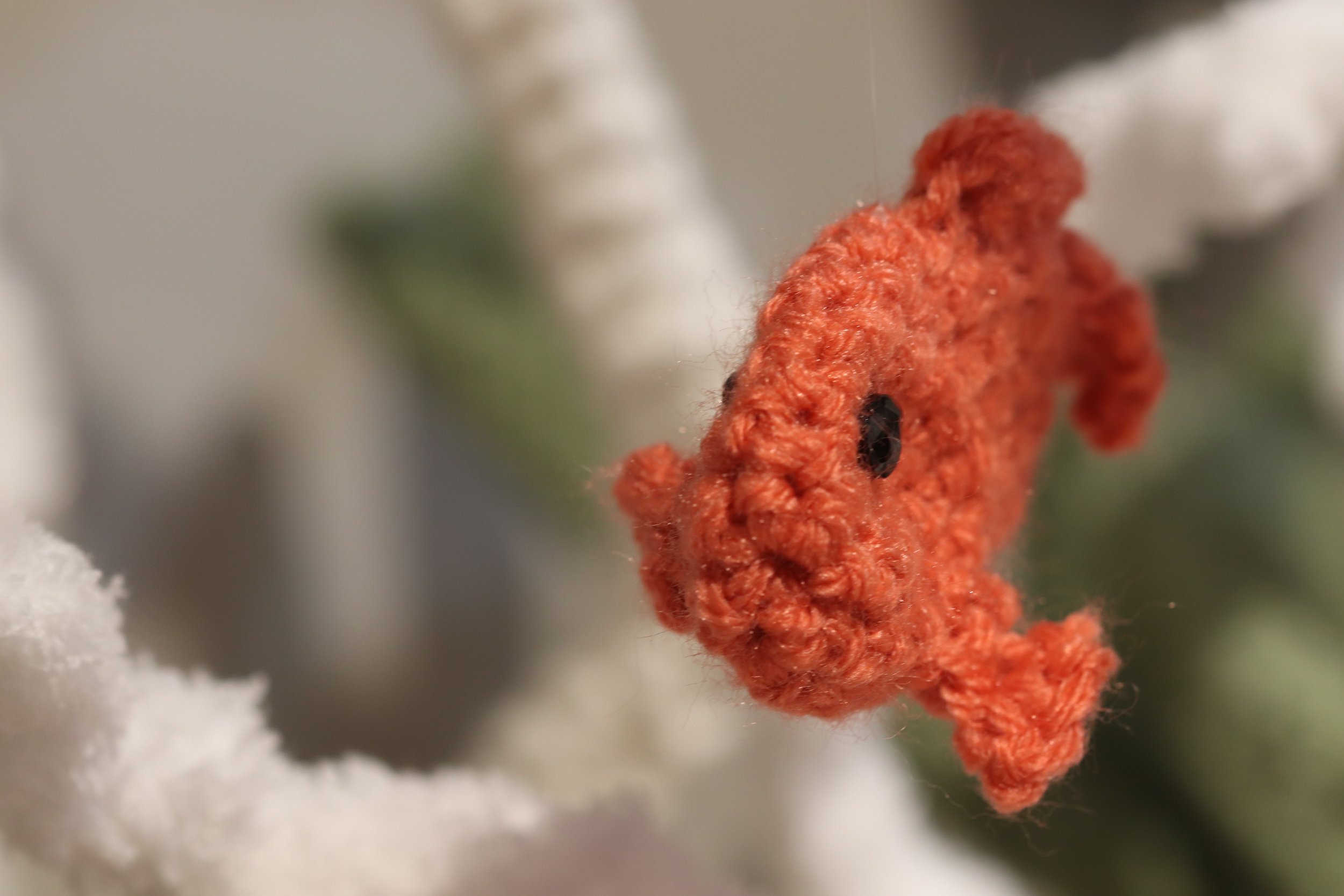 Fishcorals8a.jpg