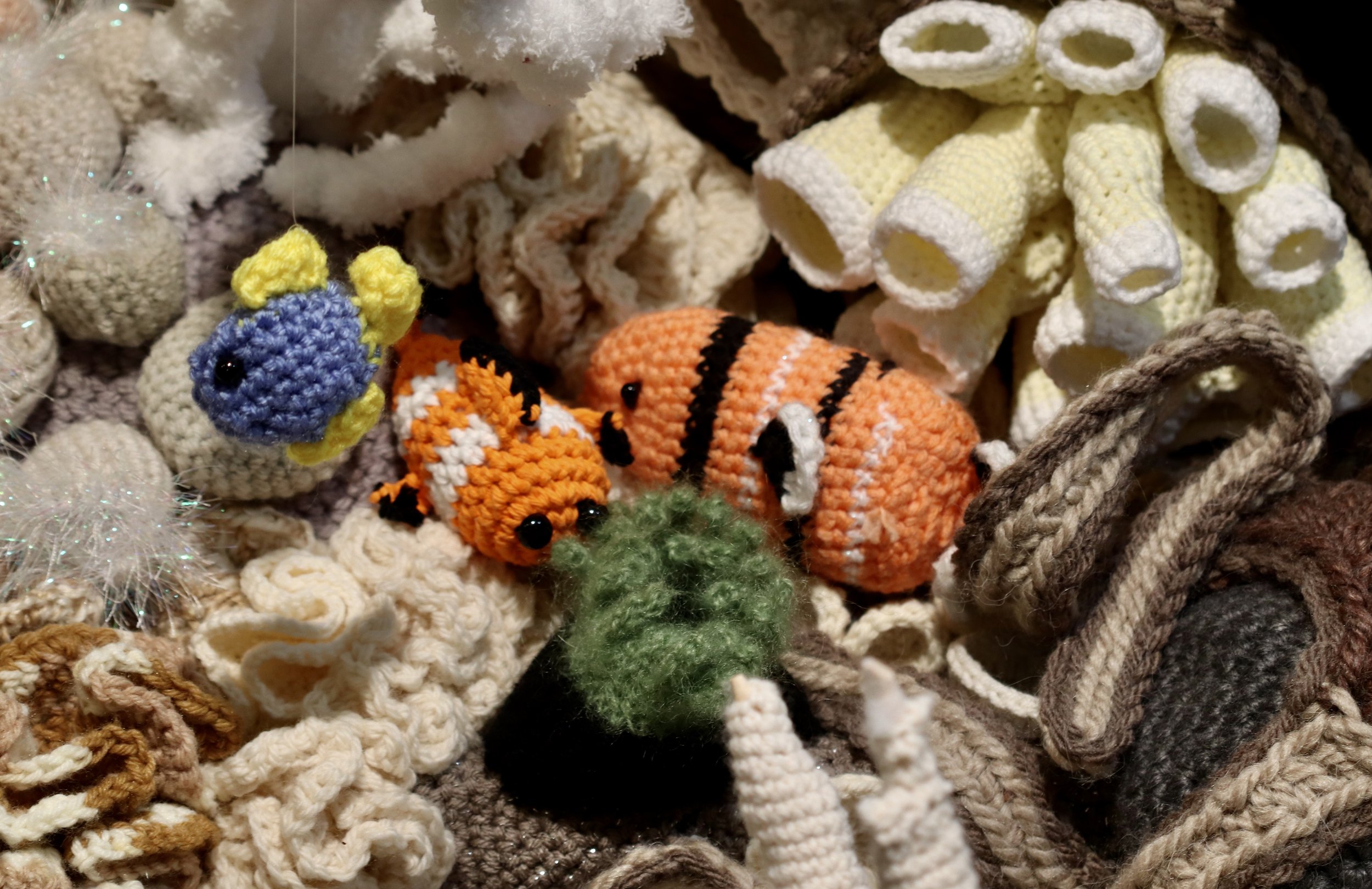 Fishcorals9.jpg