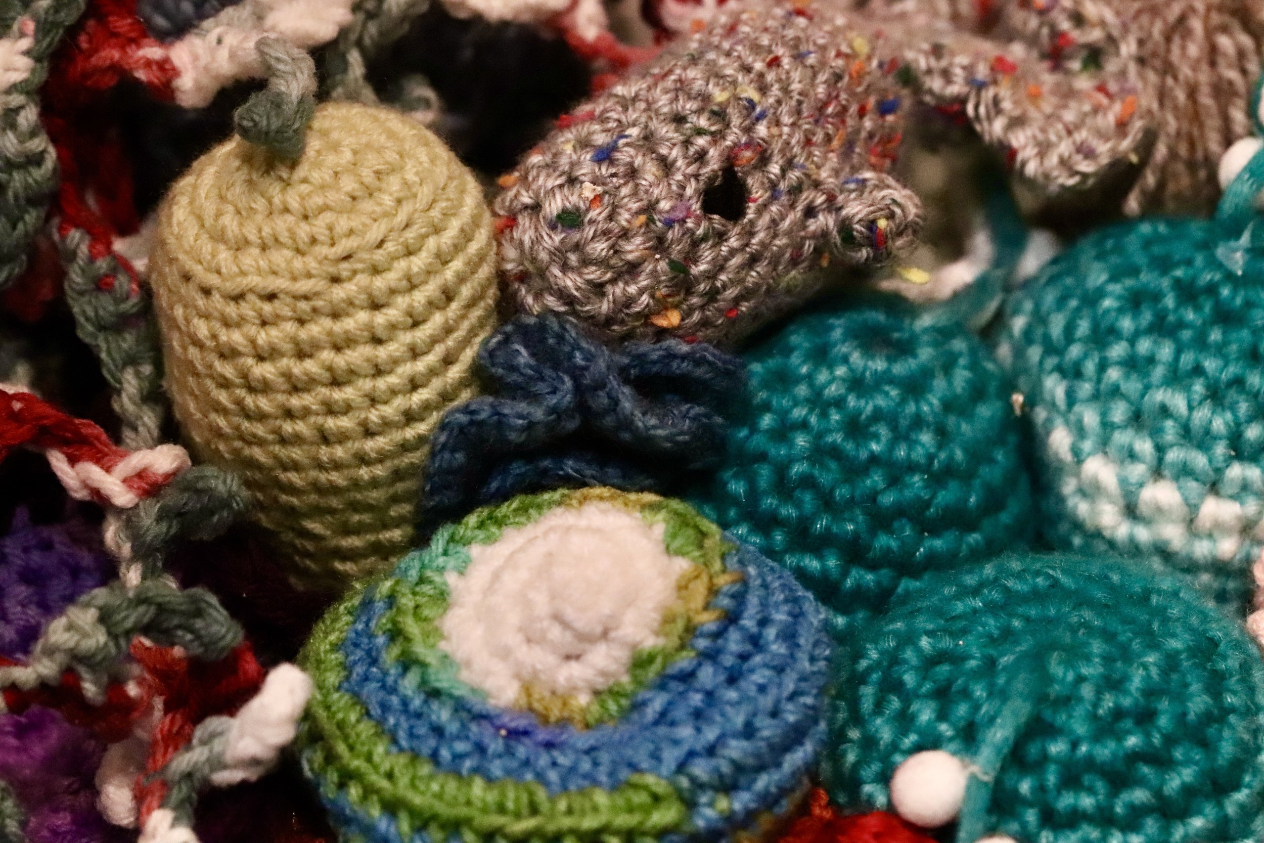 Fishcorals10.jpg