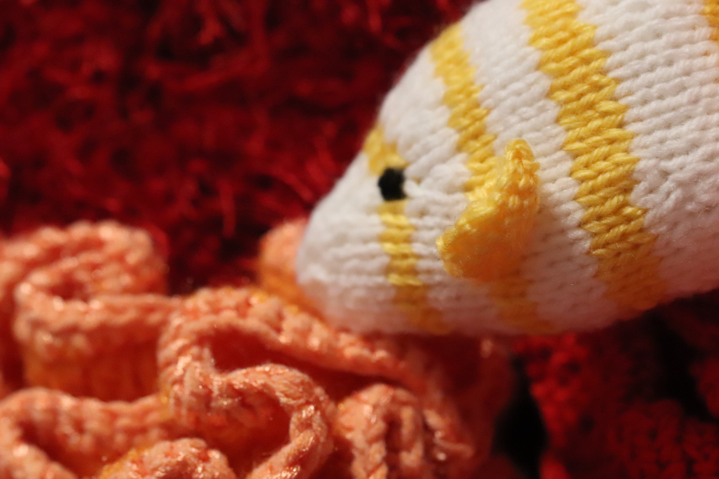 Fishcorals13.jpg