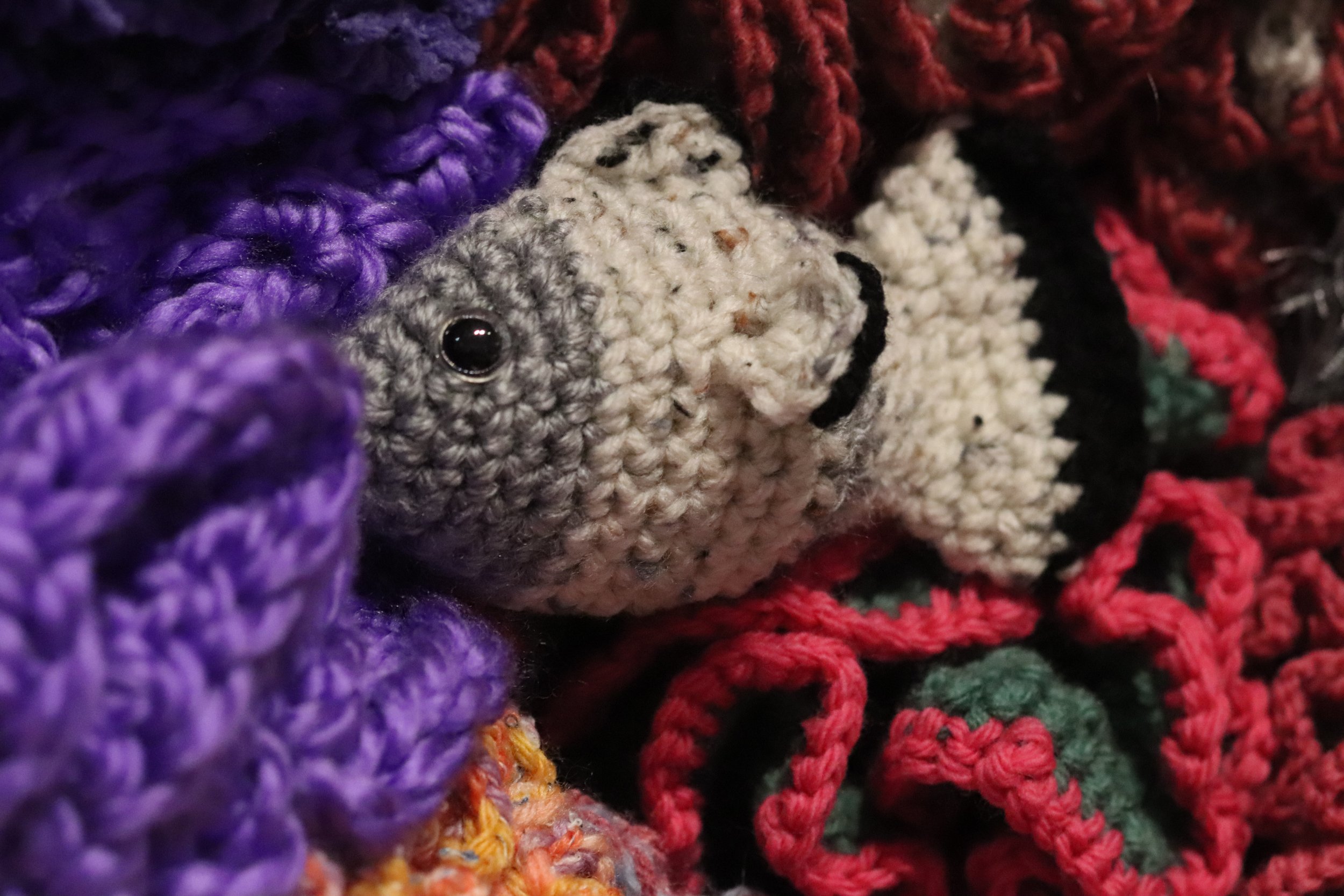 Fishframes1.jpg
