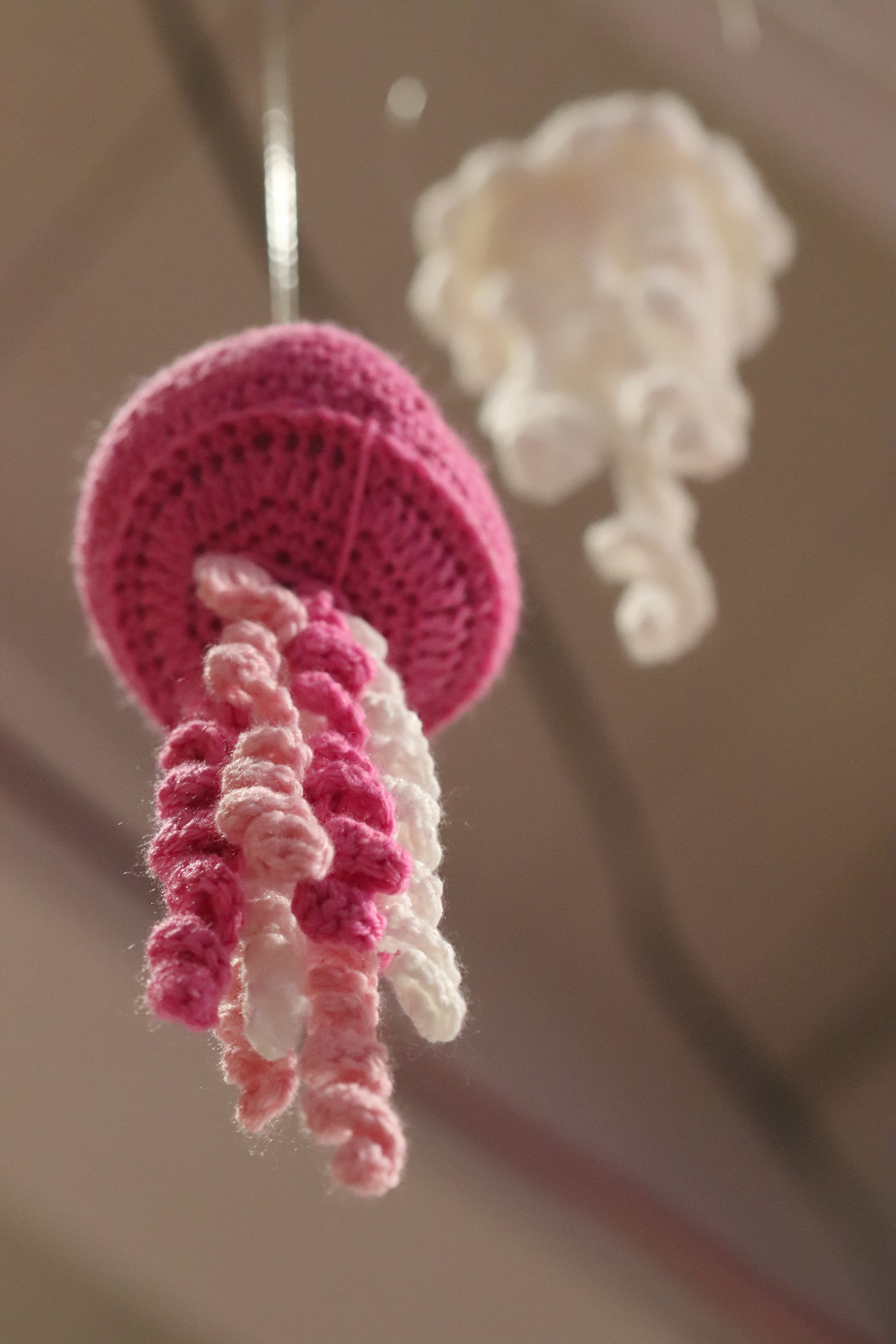Jelly6.jpg