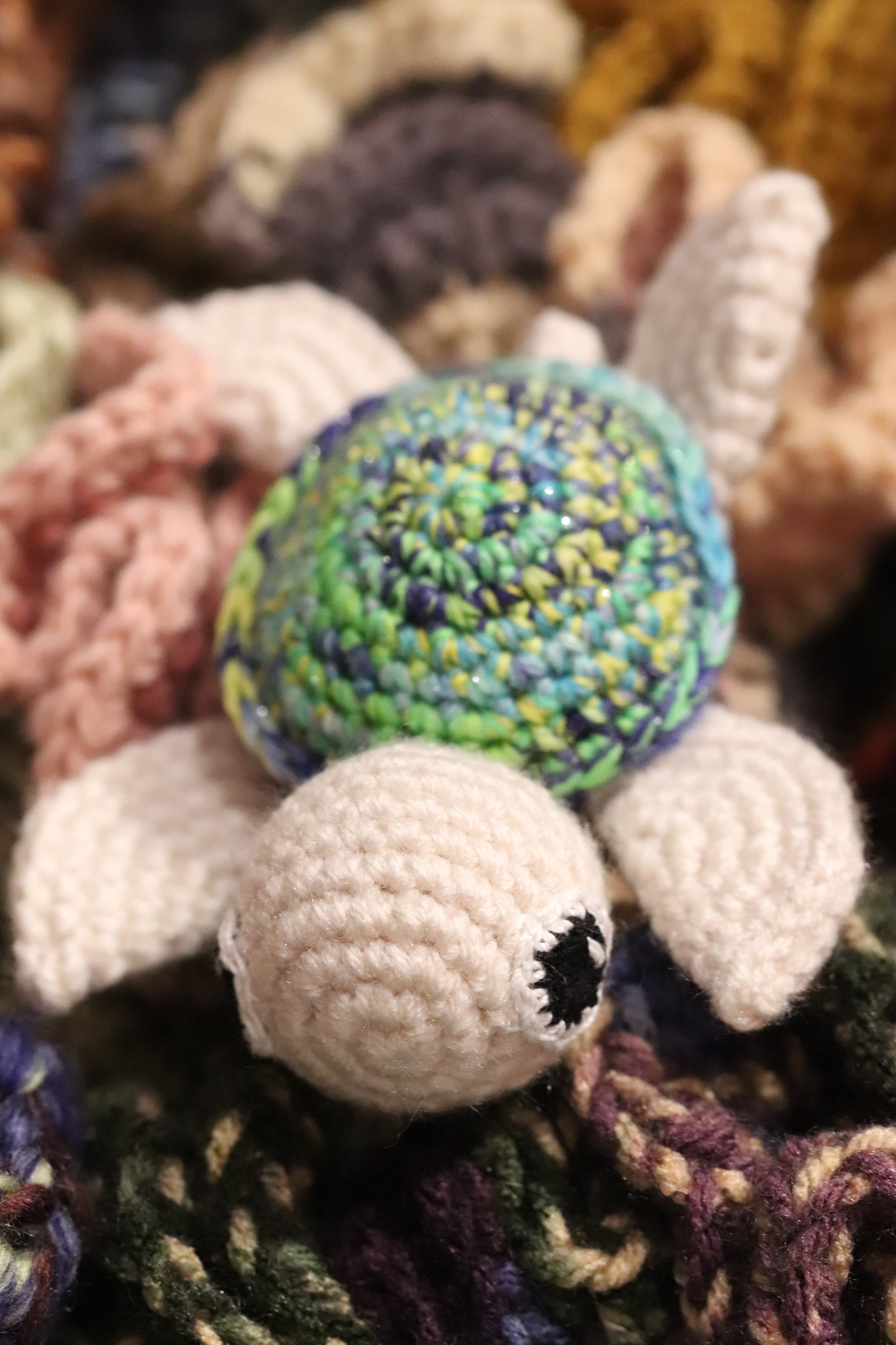 lilseaturtle.jpg