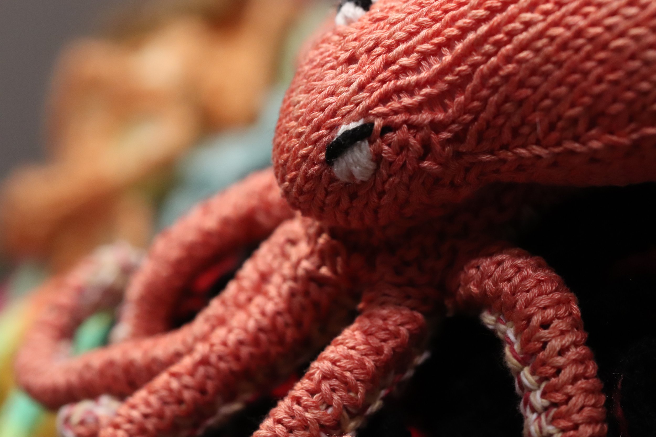 Octopus.jpg