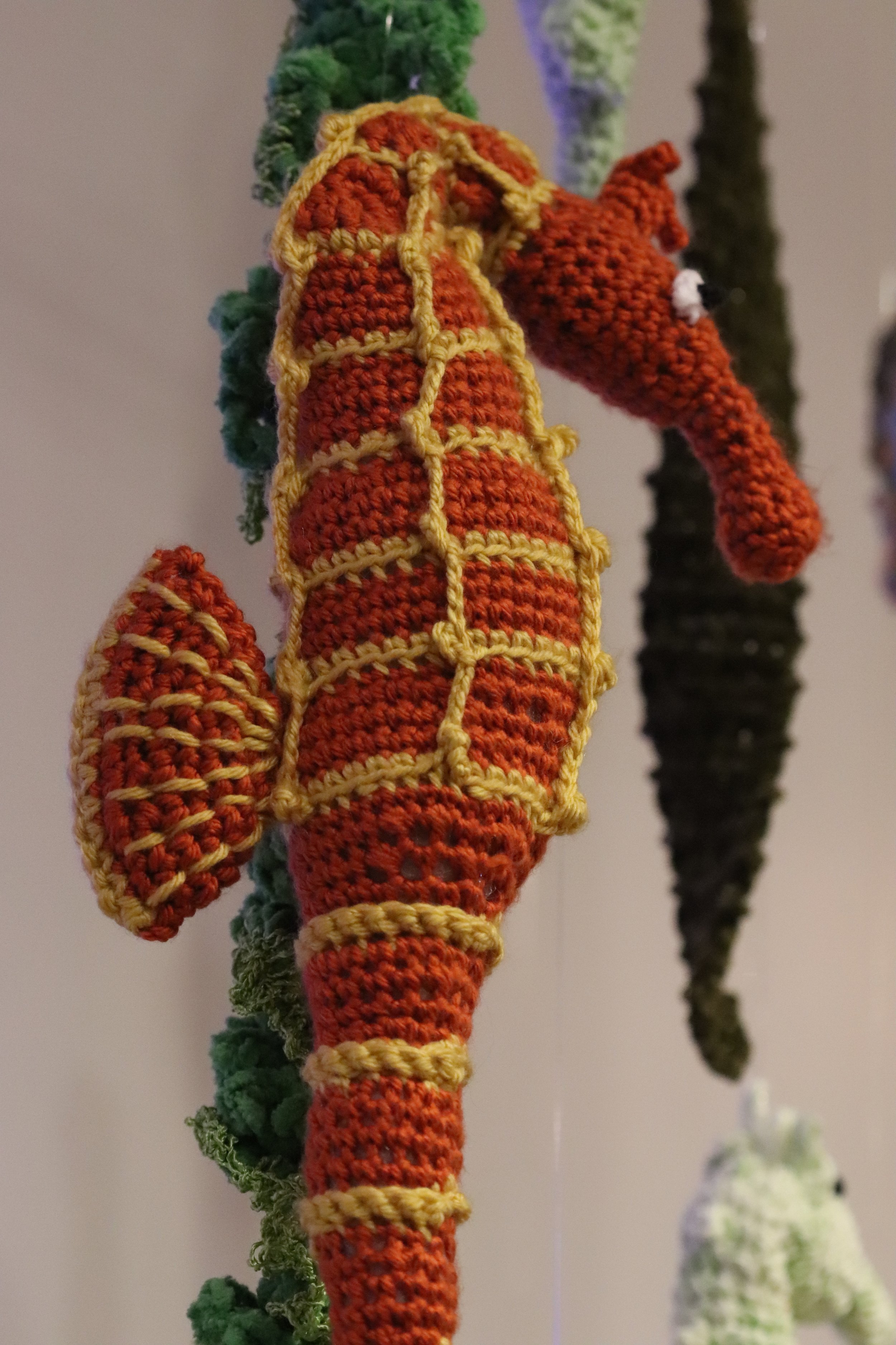 Seahorse2.jpg