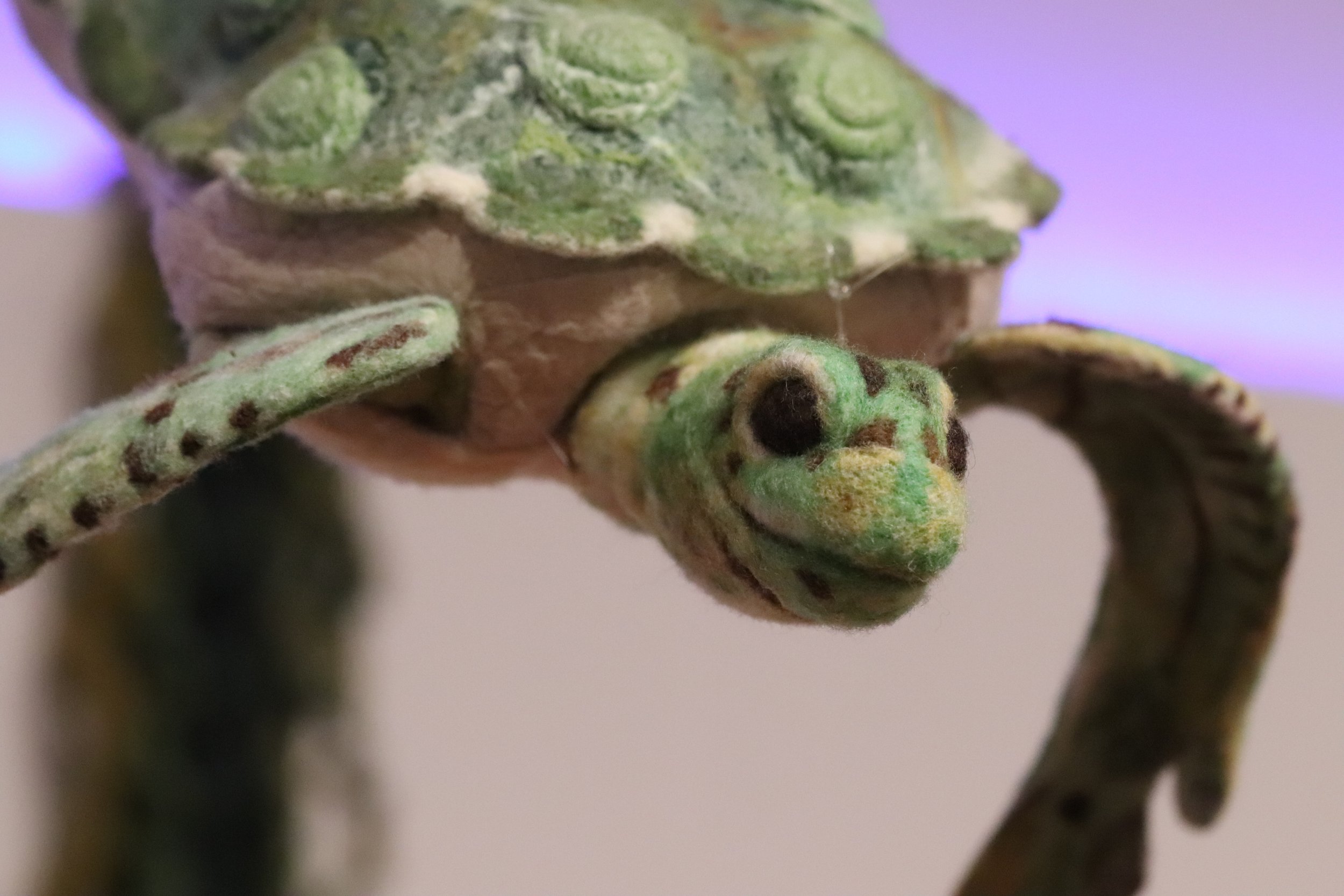 Seaturtle1.jpg