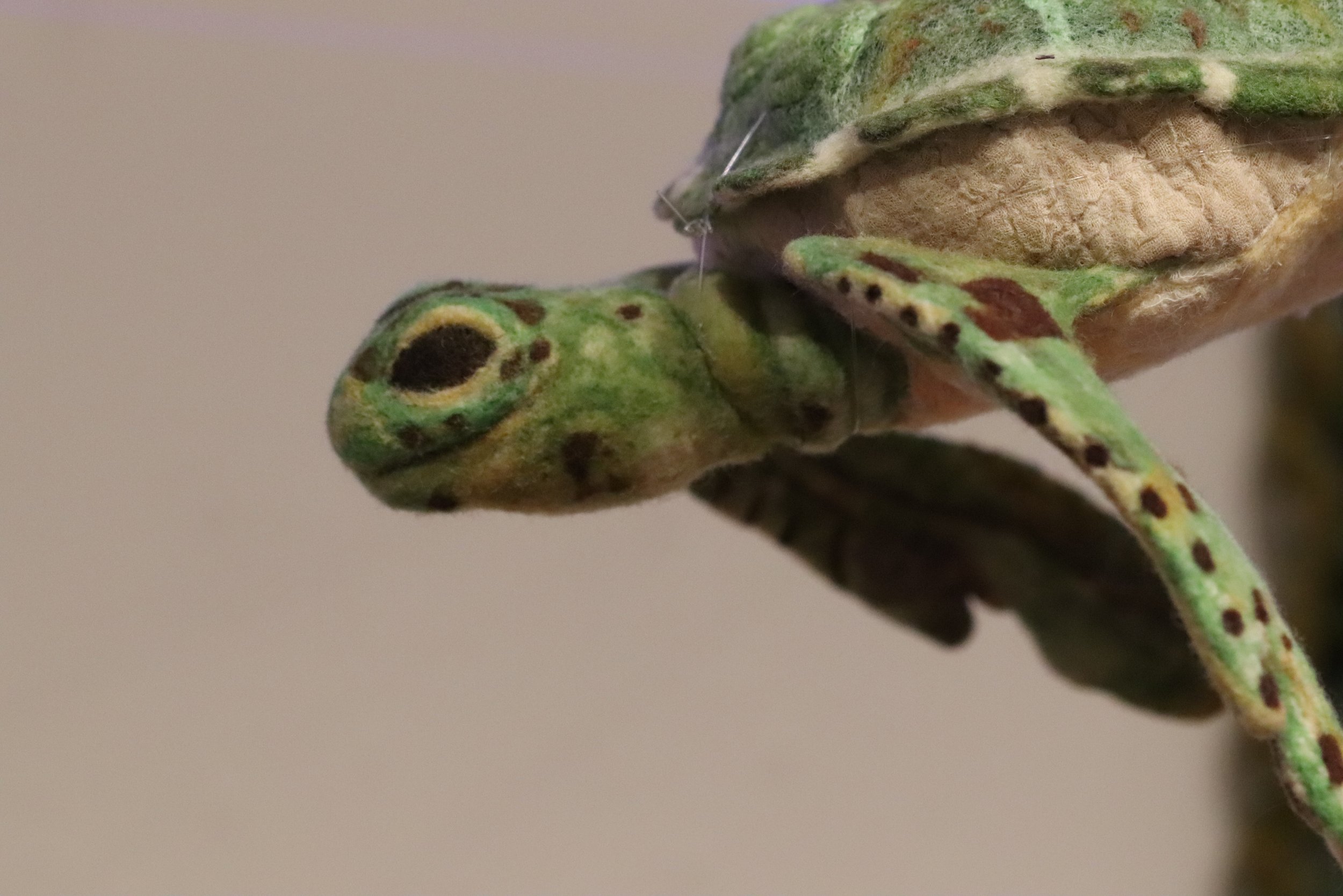 Seaturtle.jpg