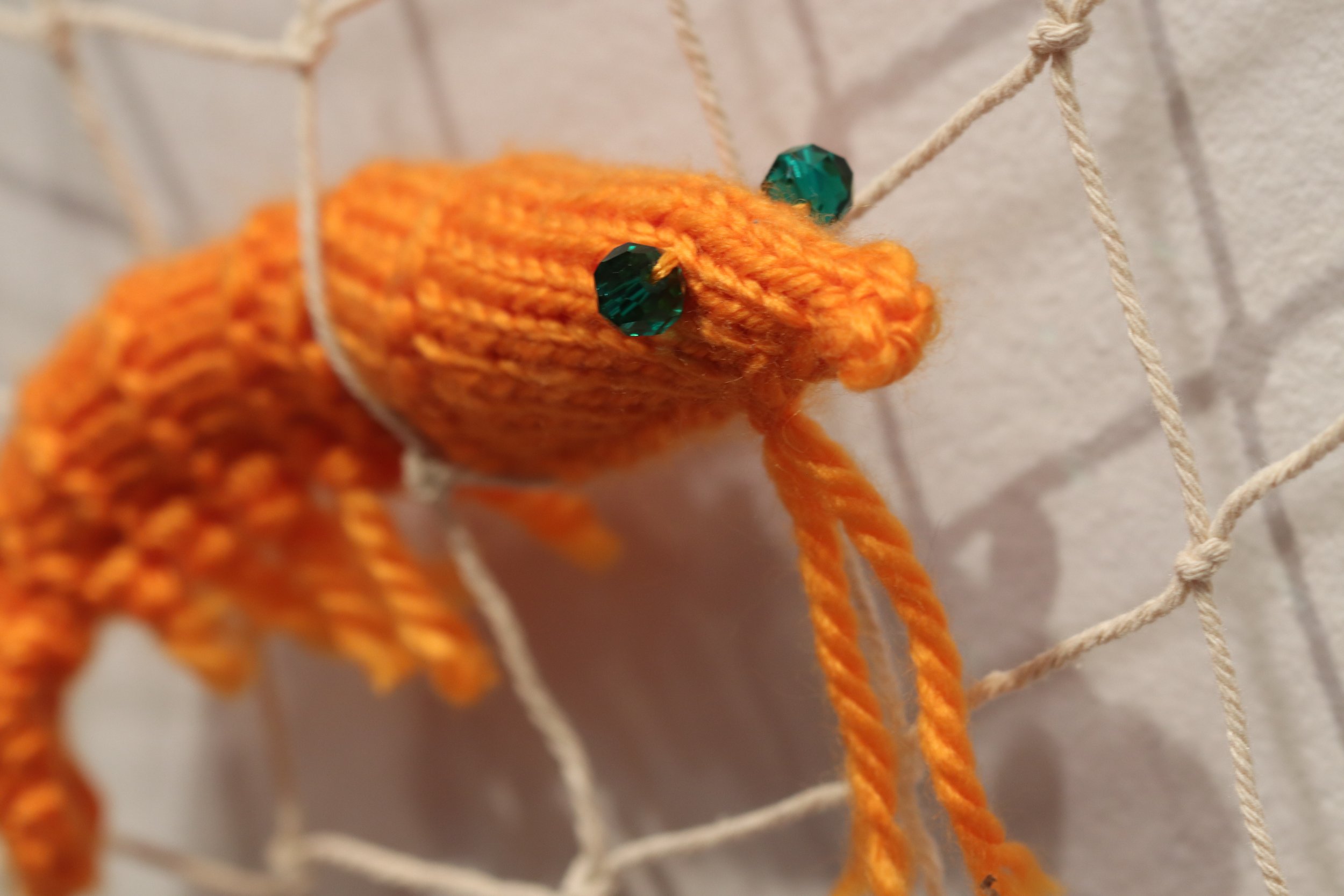 Shrimp1.jpg