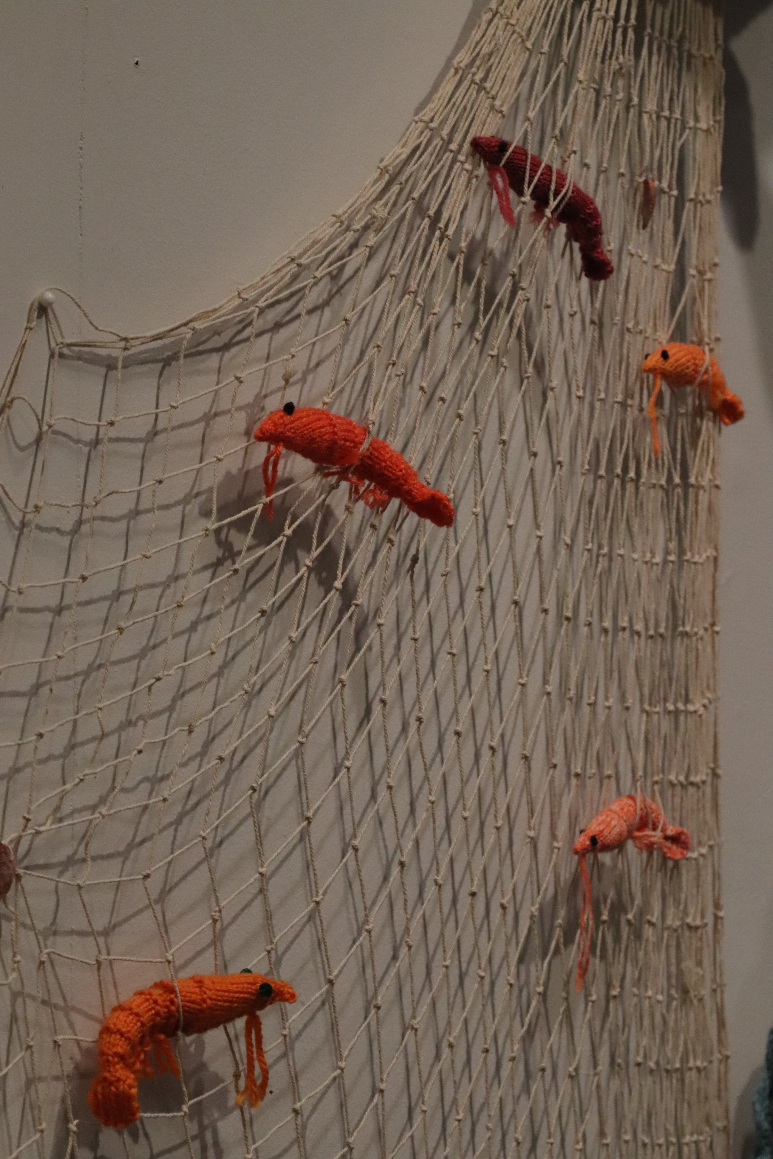 Shrimps.jpg