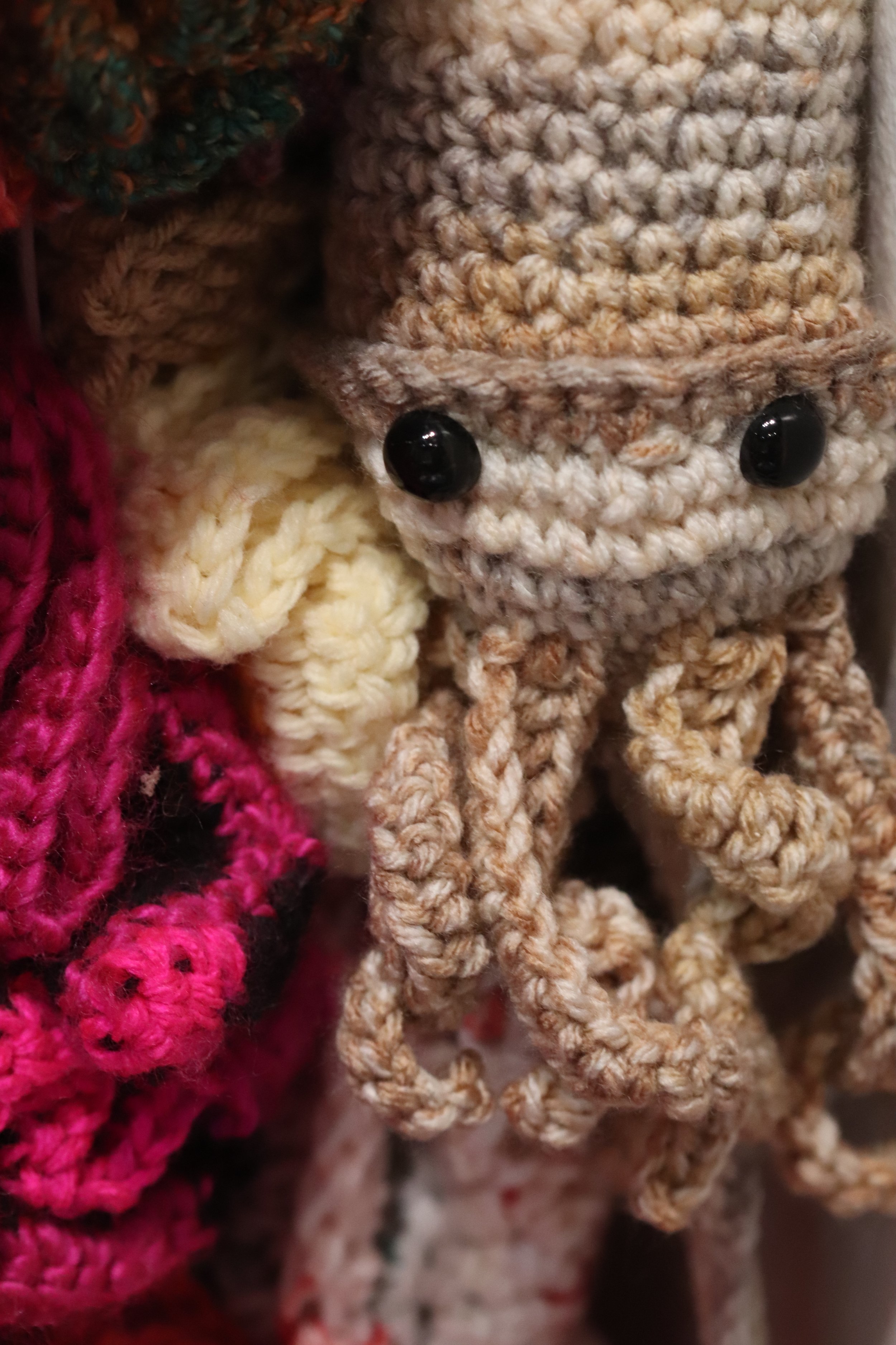squid.jpg