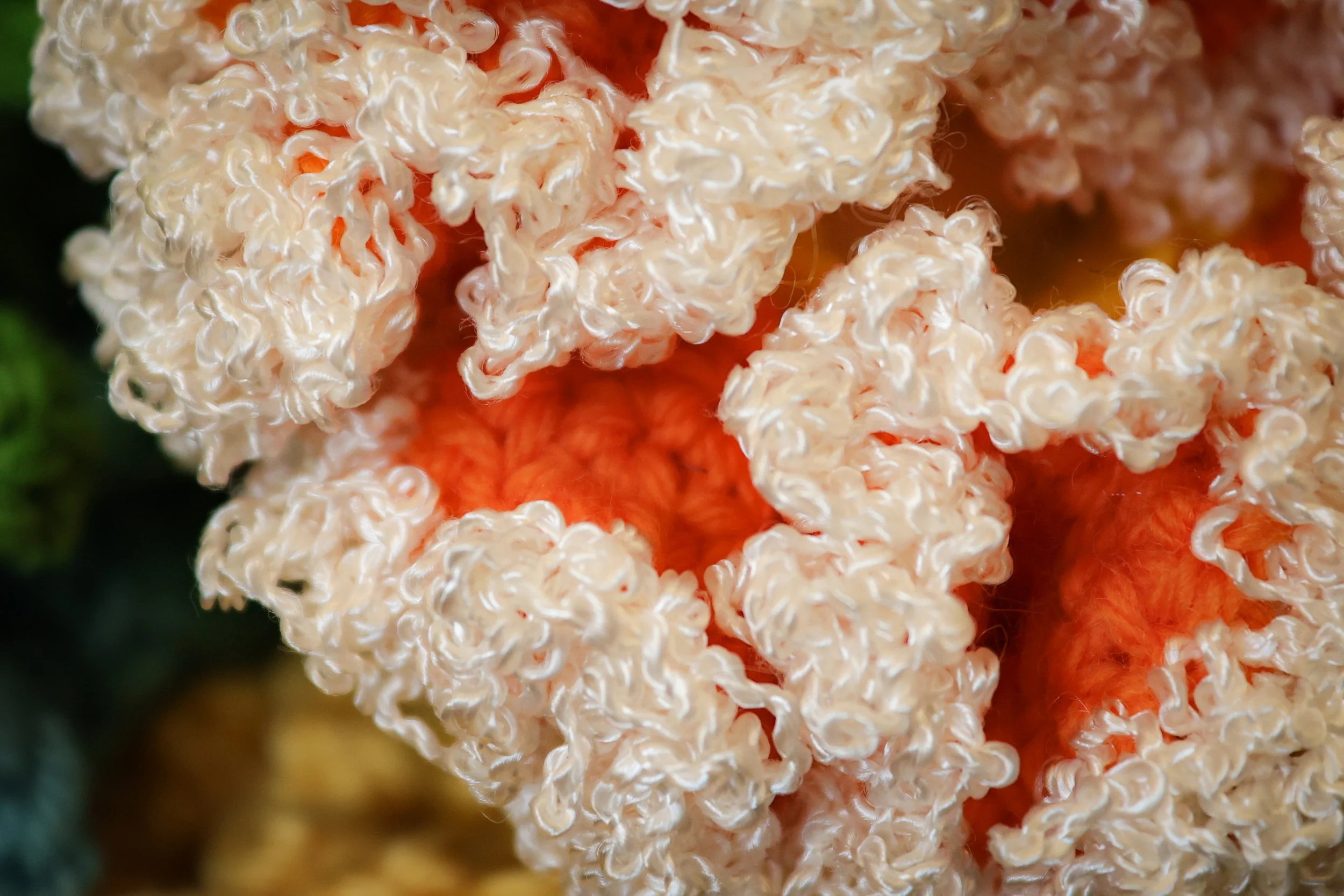 Reef20.jpg