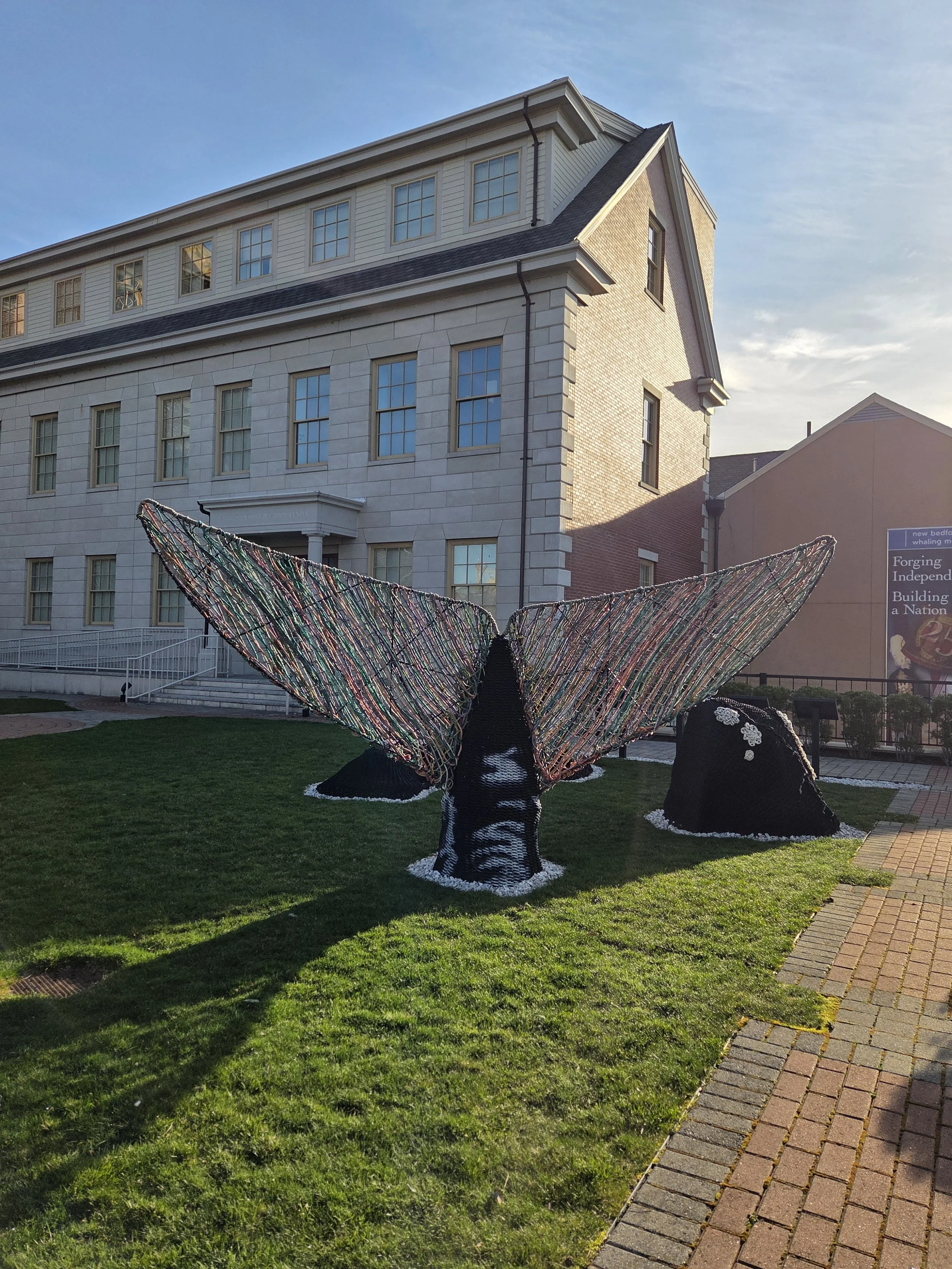 20260414_074049.jpg