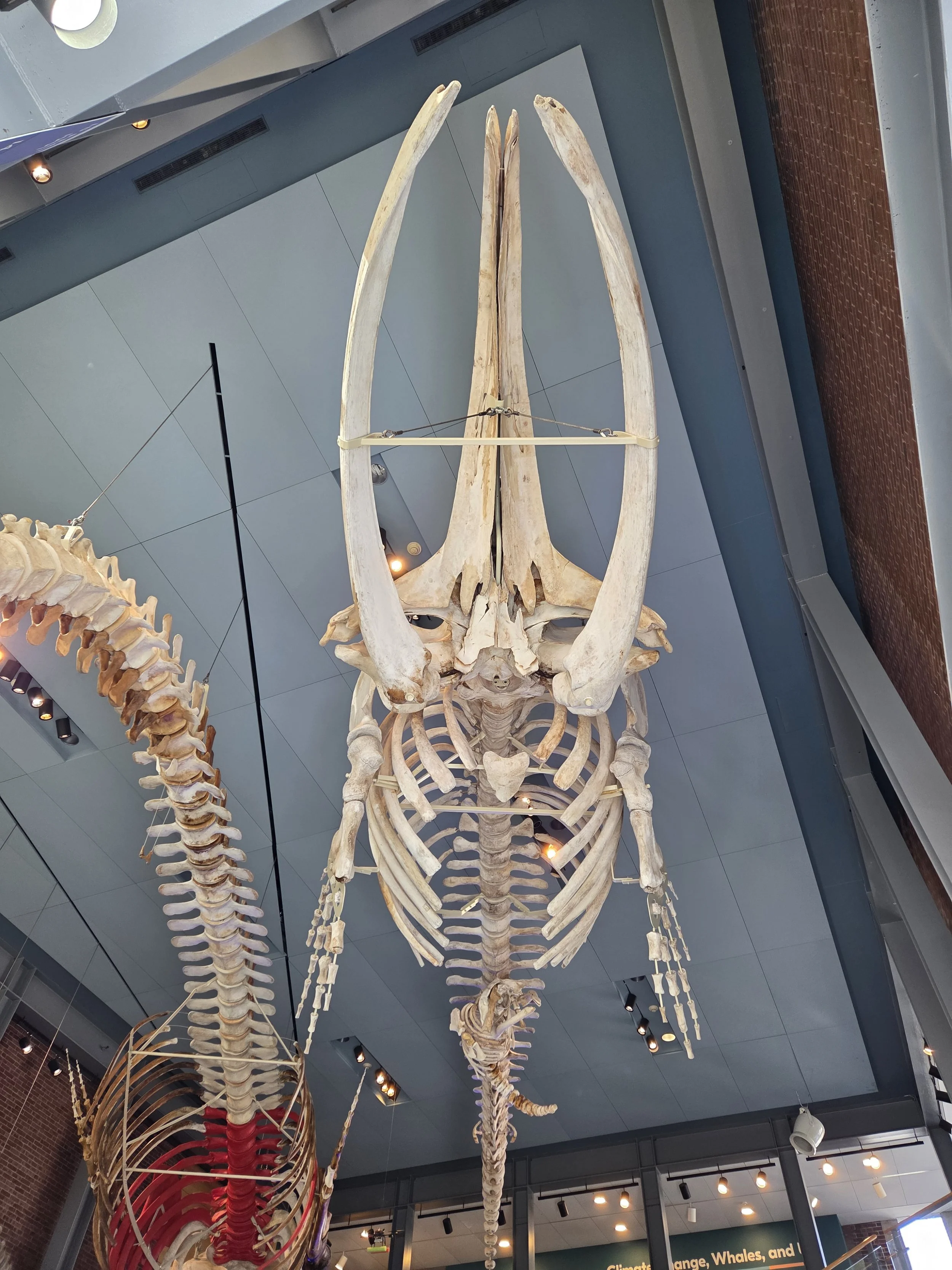20260414_090413.jpg