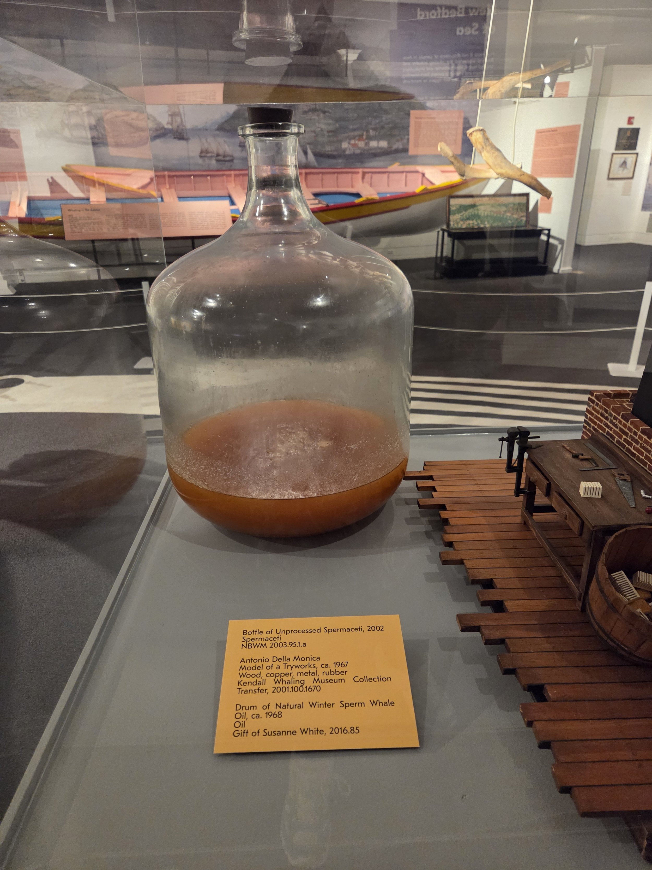 20260414_093431.jpg
