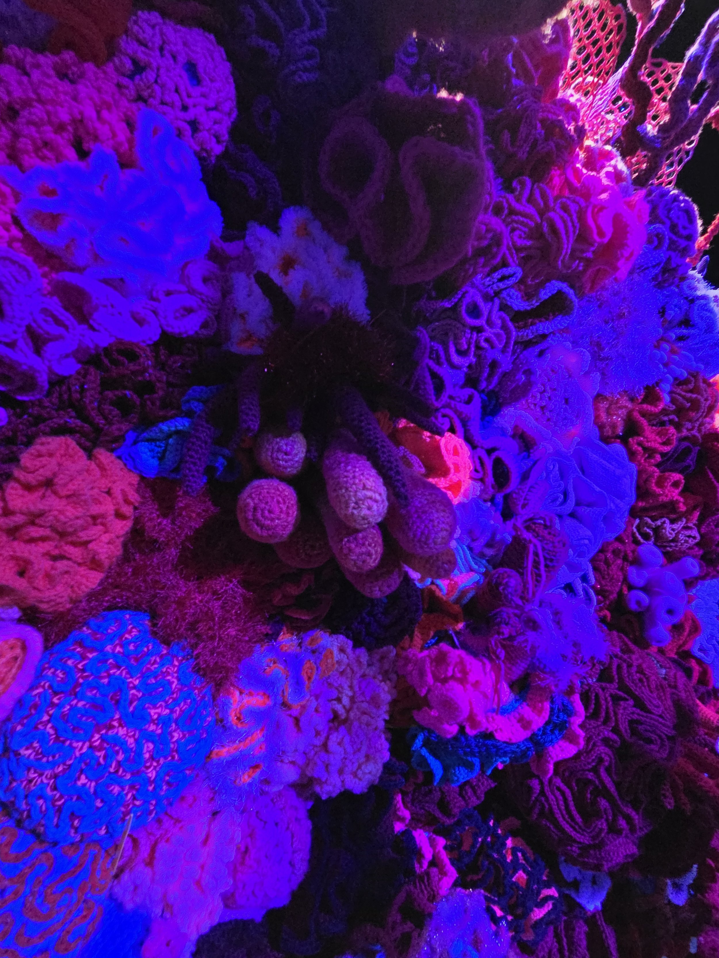 20260418_141734.jpg