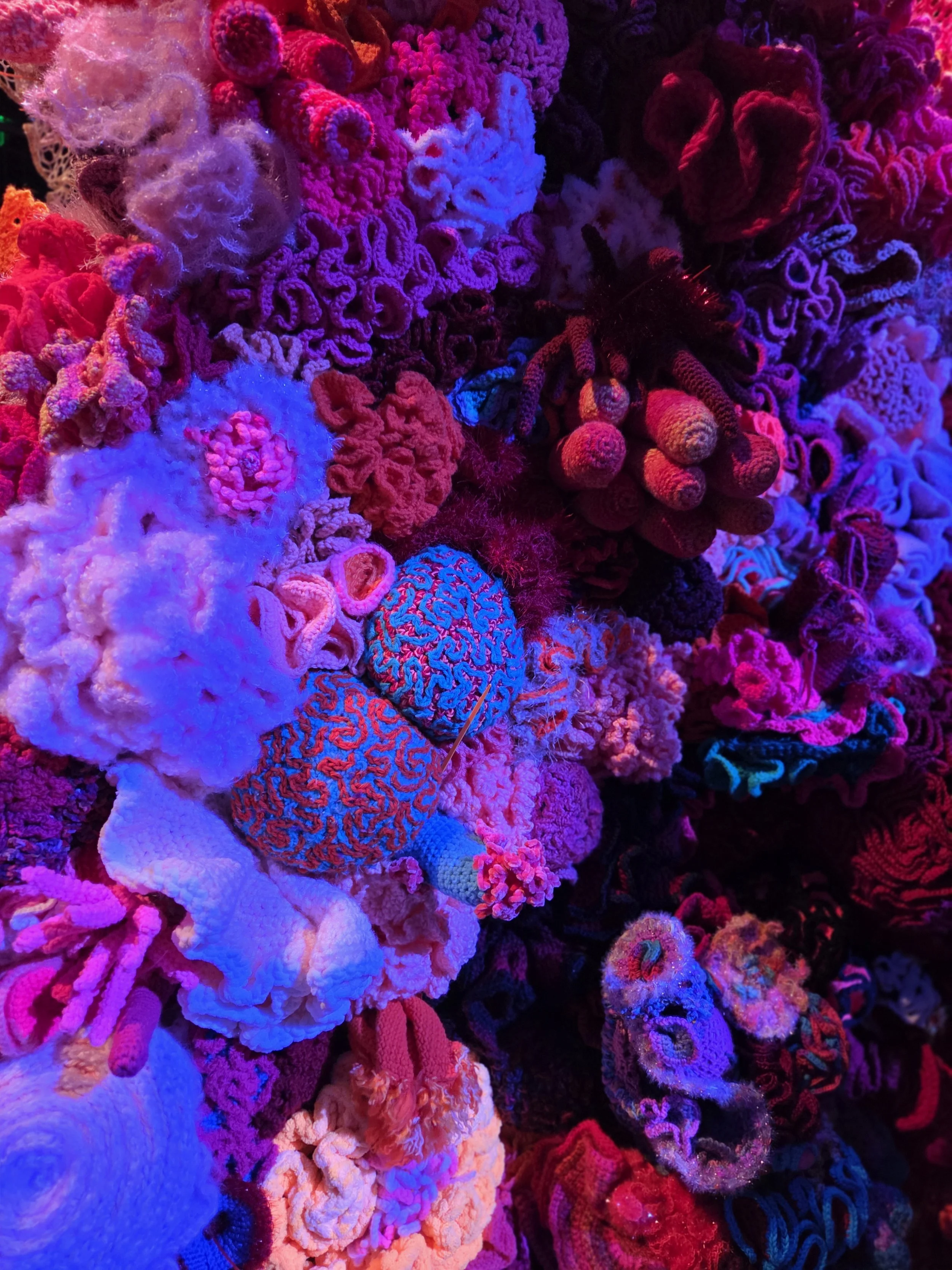 20260418_142412.jpg
