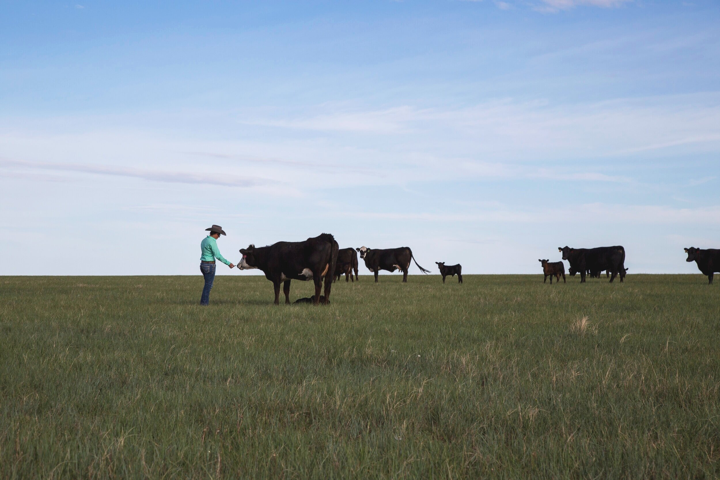 Kelsey+Ducheneaux+-+marley_DXRanch_0077.jpg