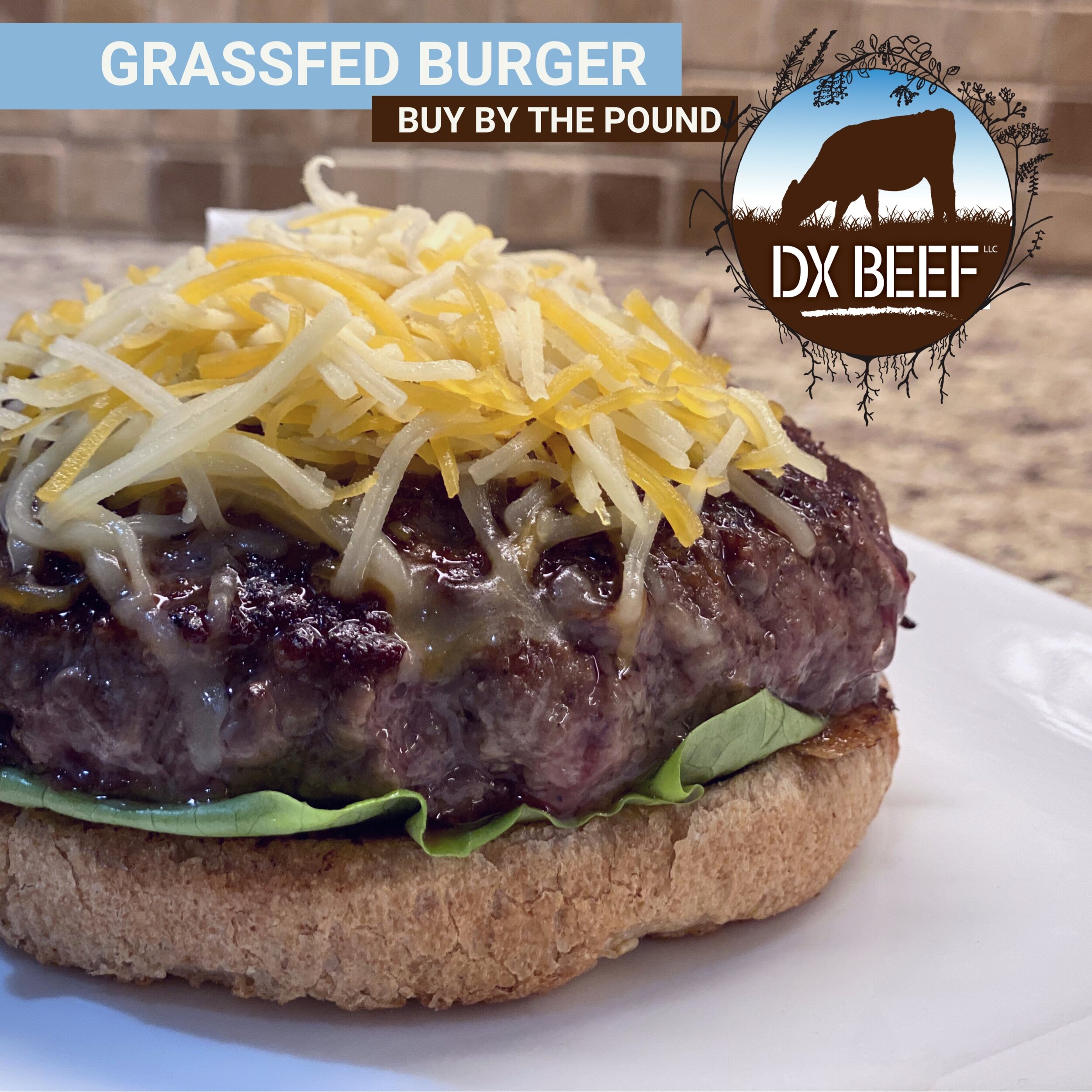 Grassfed+Burger+by+the+pound.jpg