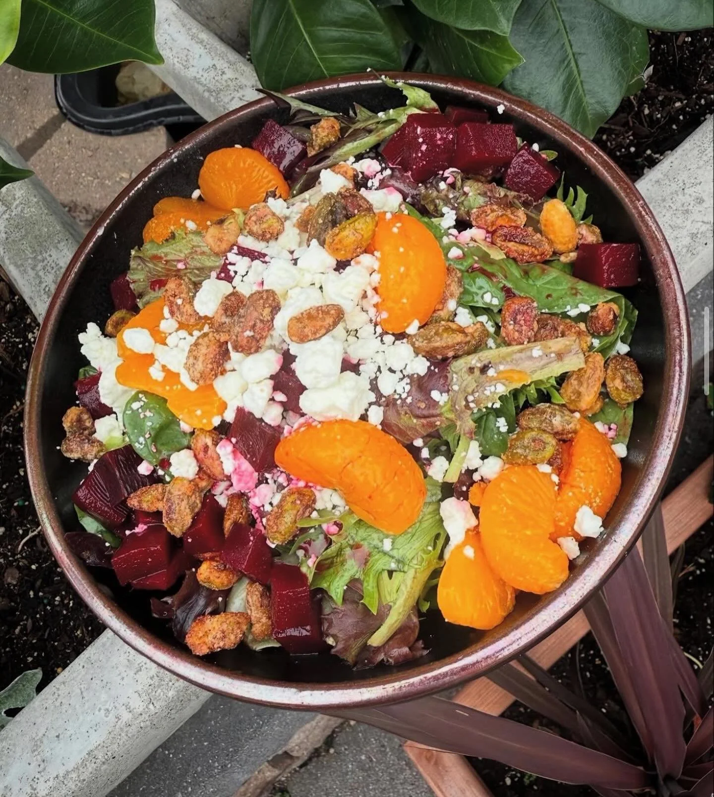 Sierra Salad- A refreshing mix of greens and fris&eacute;e, tossed in a sweet honey balsamic vinaigrette, and topped with mandarin oranges, candied pistachios, roasted beets, and creamy goat cheese.