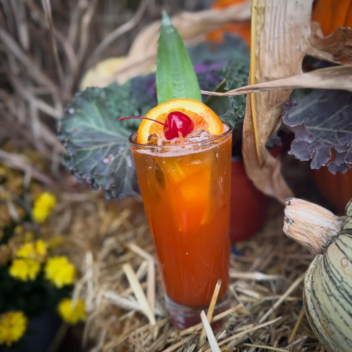 Drunken Monkey Rum Punch — a wild blend of tropical juices, and smooth rum