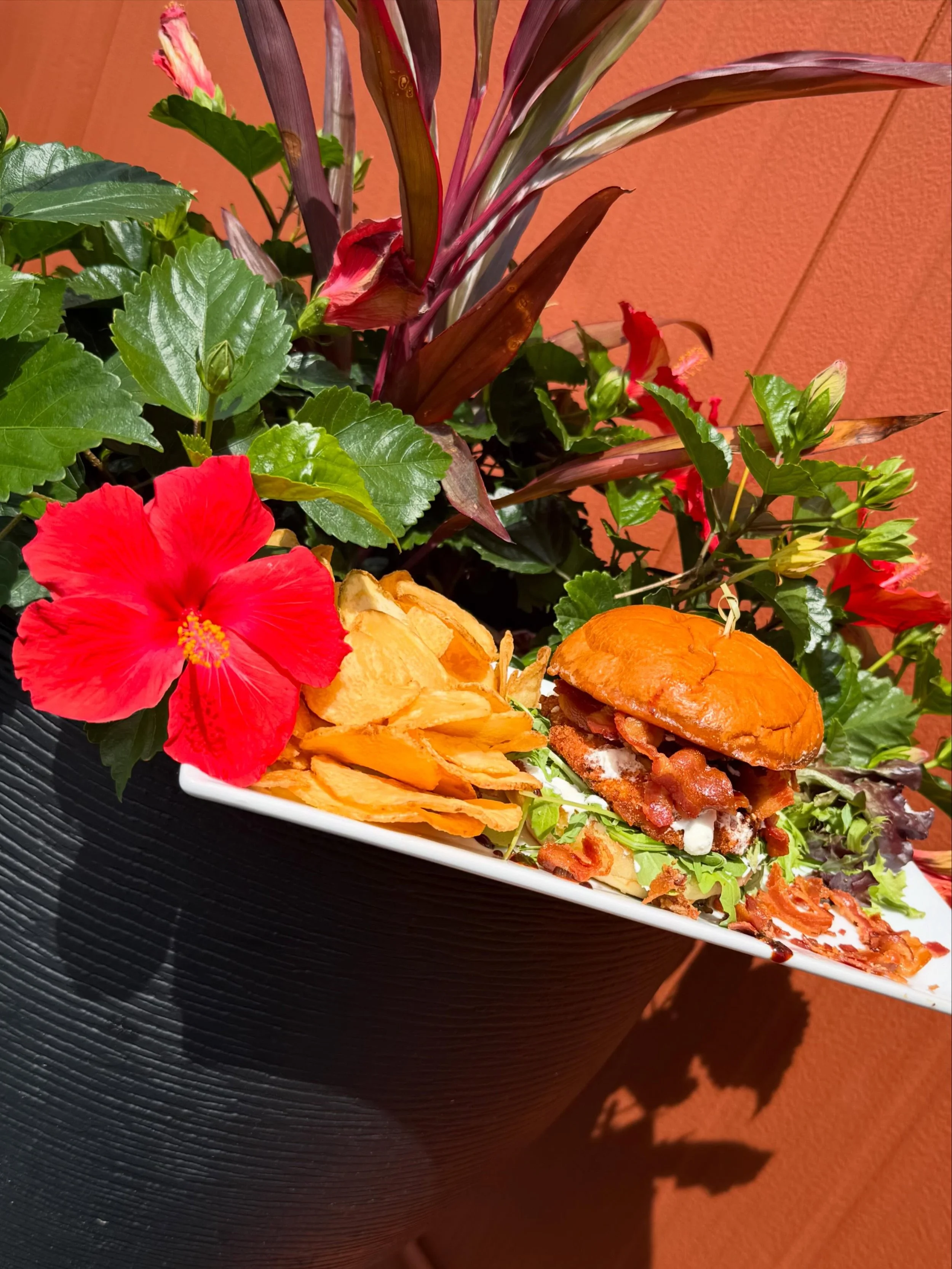 The Smoke Show Sandwich- Crispy panko fried chicken layered with whipped garlic-herb Boursin, bacon, and peppery arugula on a toasted brioche bun. Finished with a hot honey drizzle and served with house-made chips