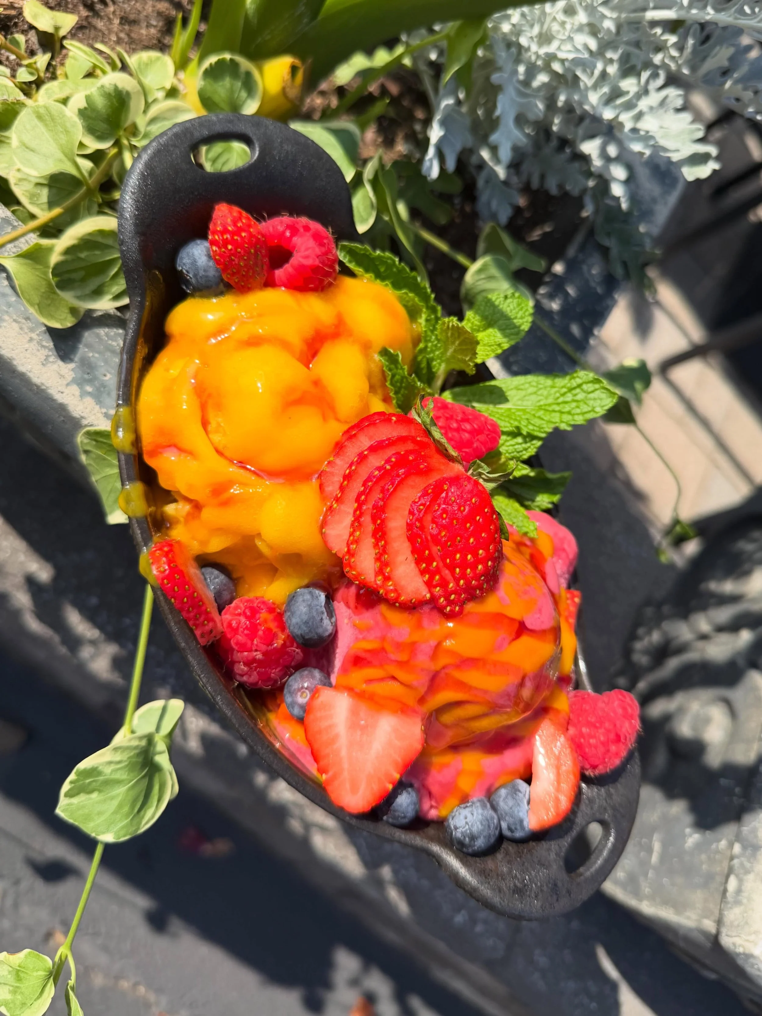 Summer Sorbet- A refreshing duo of mango and raspberry sorbets, topped with fresh berries, mango puree, guava puree and a touch of mint