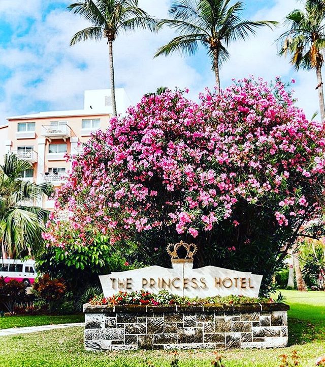 A true Bermudian pink Gem! #visitbermuda #timelessclass @princessbermuda
