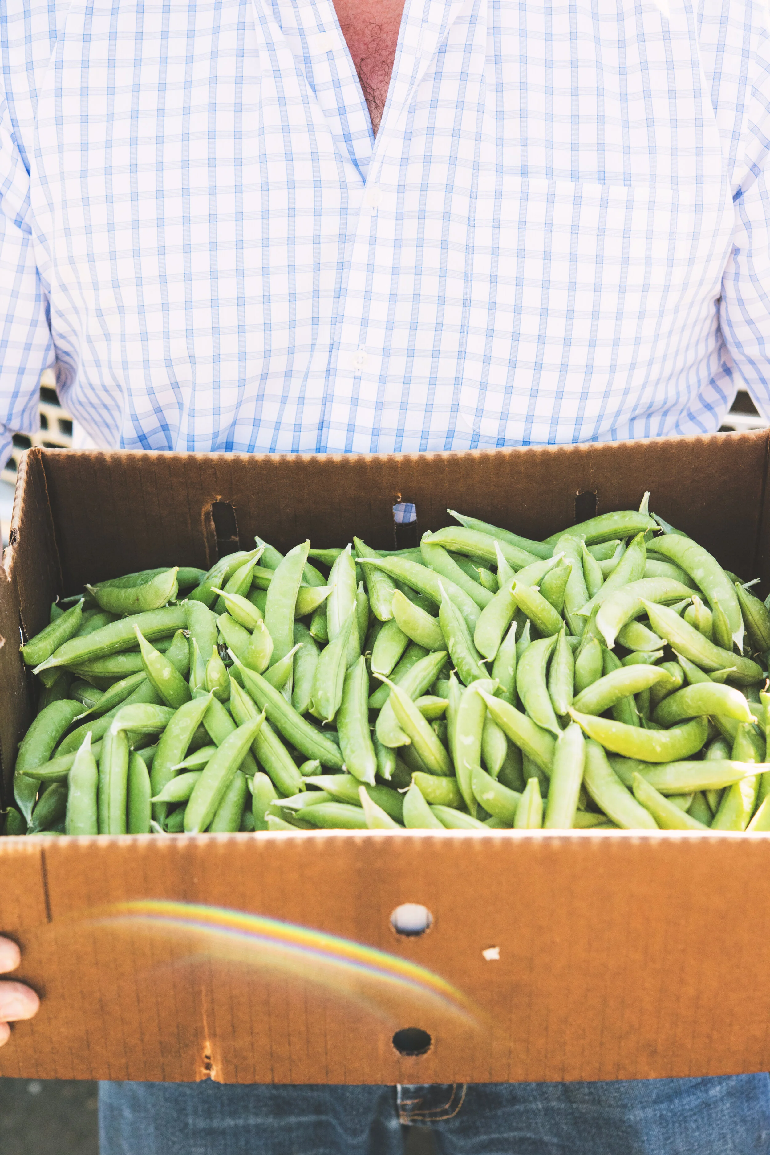 How creativity became my antidepressant of choice