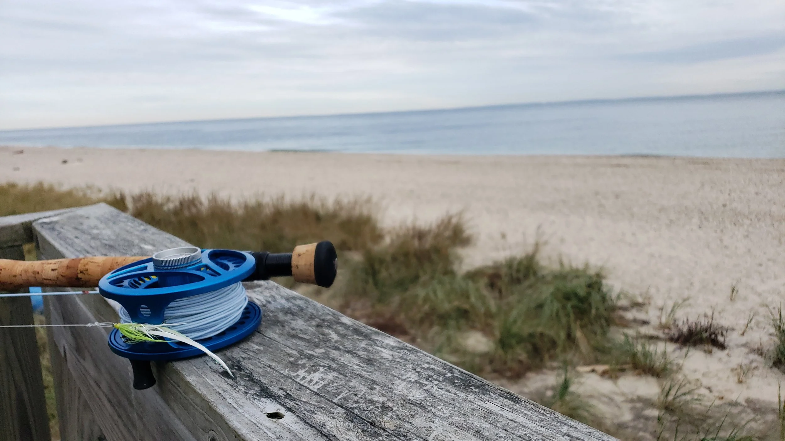 Empty Beach and Reel.jpeg
