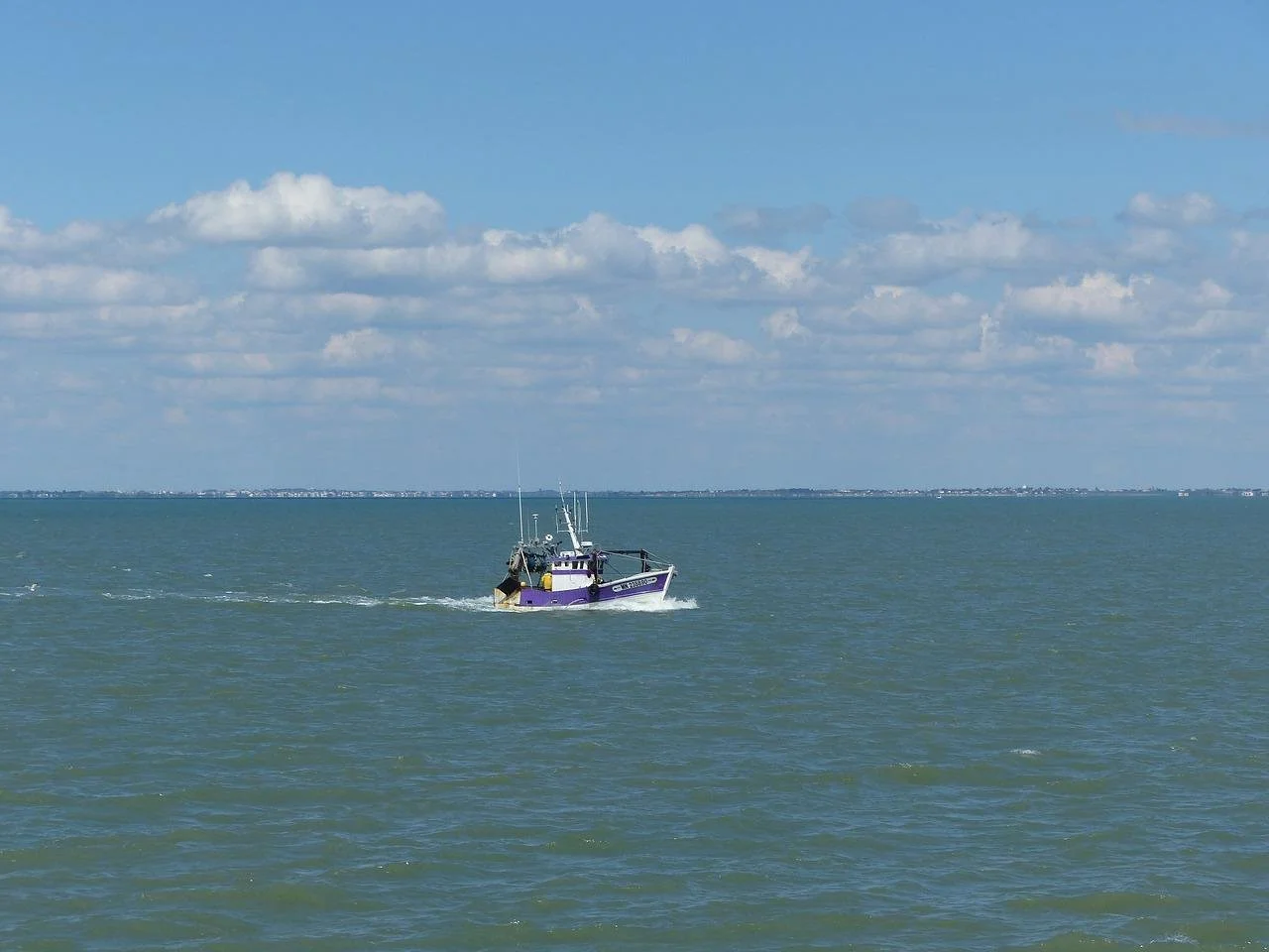  Australian authorities to buy out fisheries, citing climate crisis