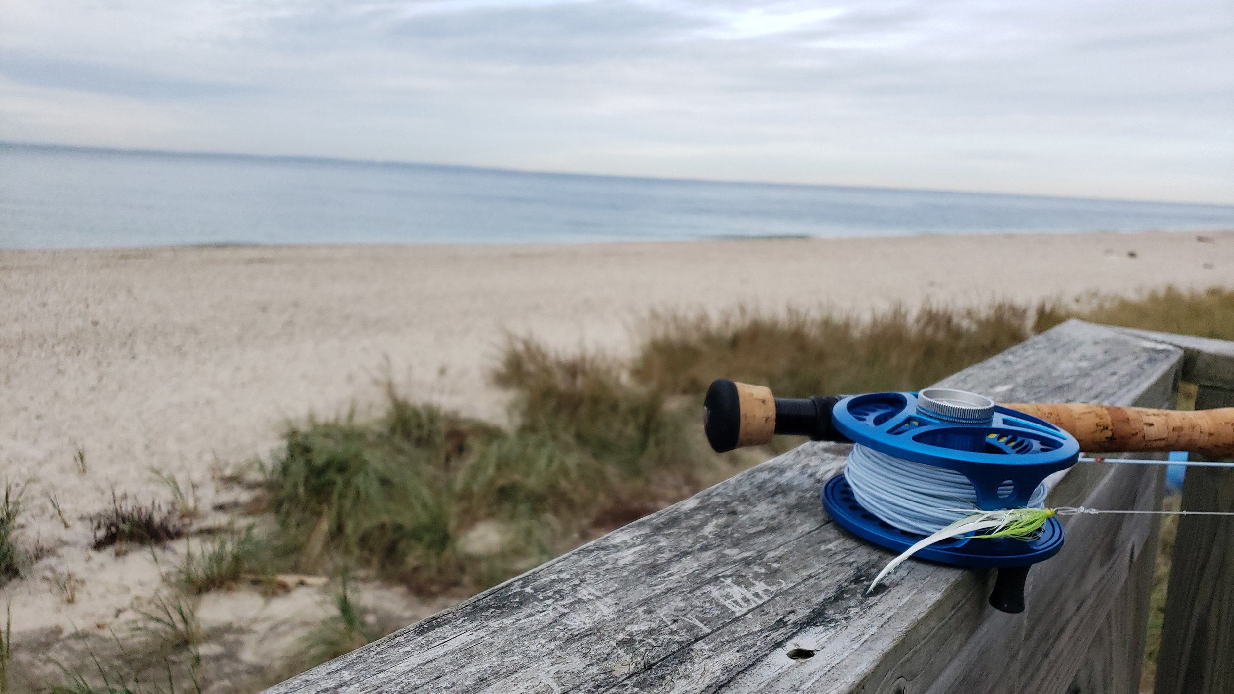Empty Beach and Reel.jpeg