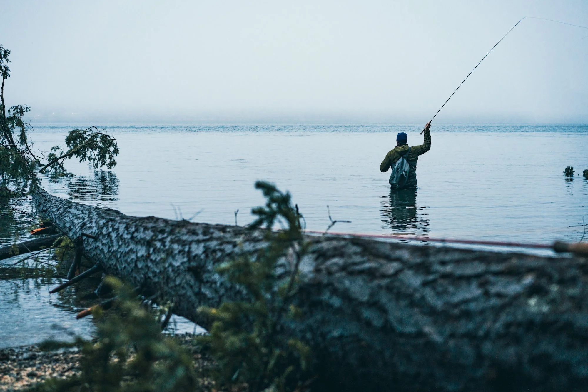 Op-Ed: We need climate-ready fisheries now