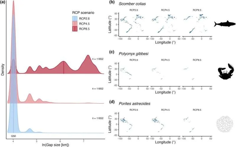 Climate change disrupts core habitats of marine species, finds modeling study