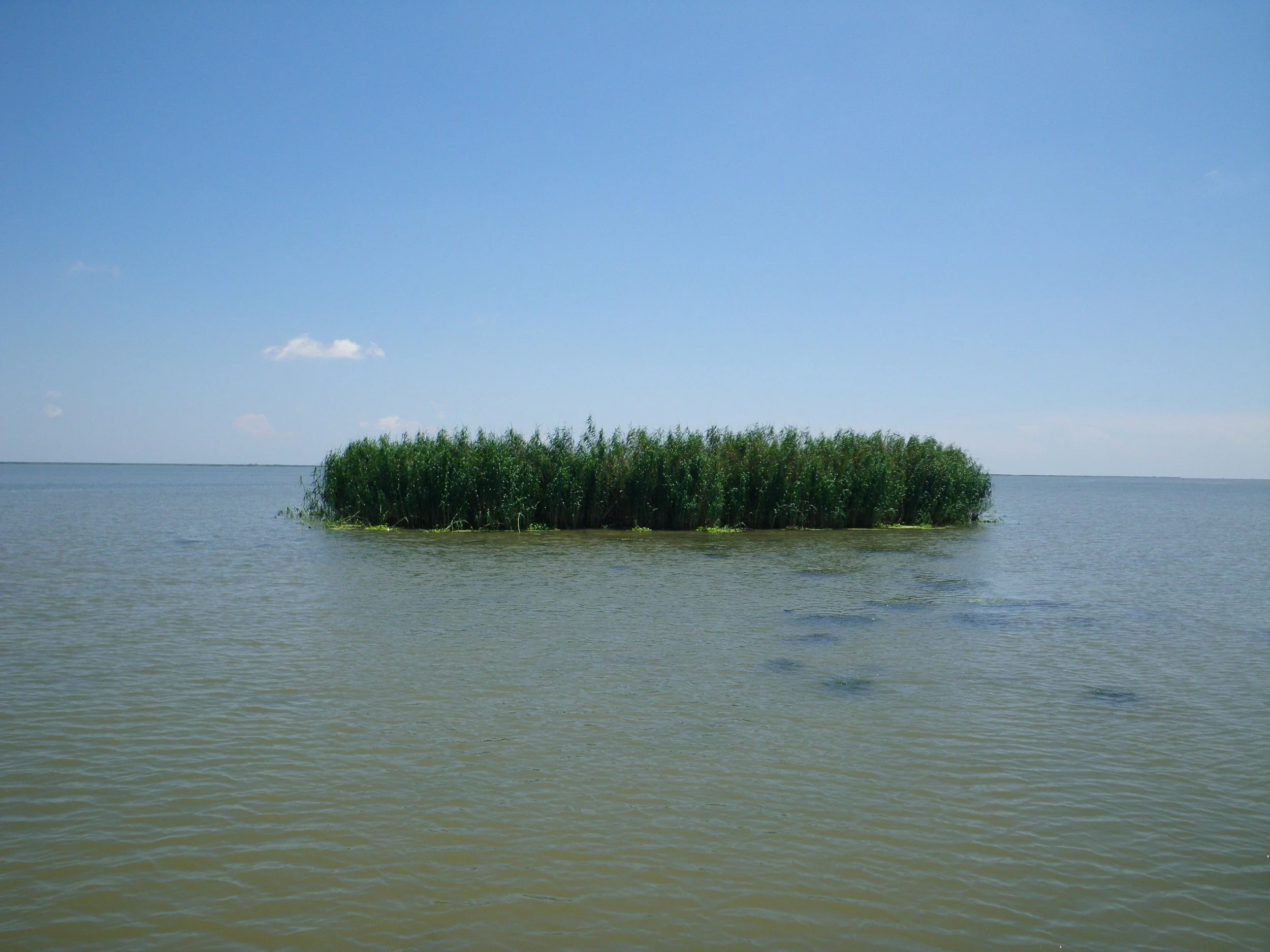 Rising seas swell in southeastern U.S. — study