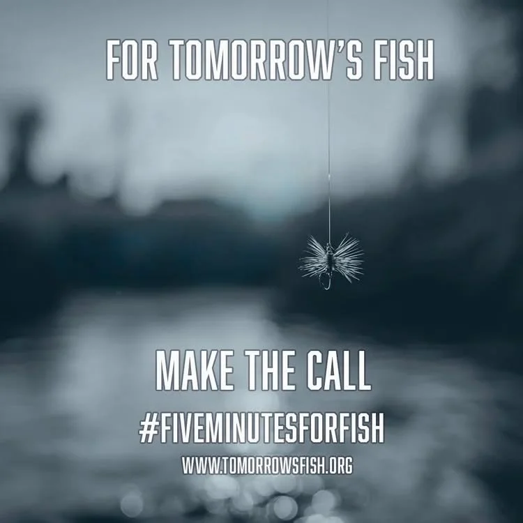 Your voice matters. 
When Congress hears directly from anglers, business owners, guides, charter captains, and everyday fishermen, it carries real weight. Most calls about fisheries policy come from the lobbyists. Together, we can ensure it’s
