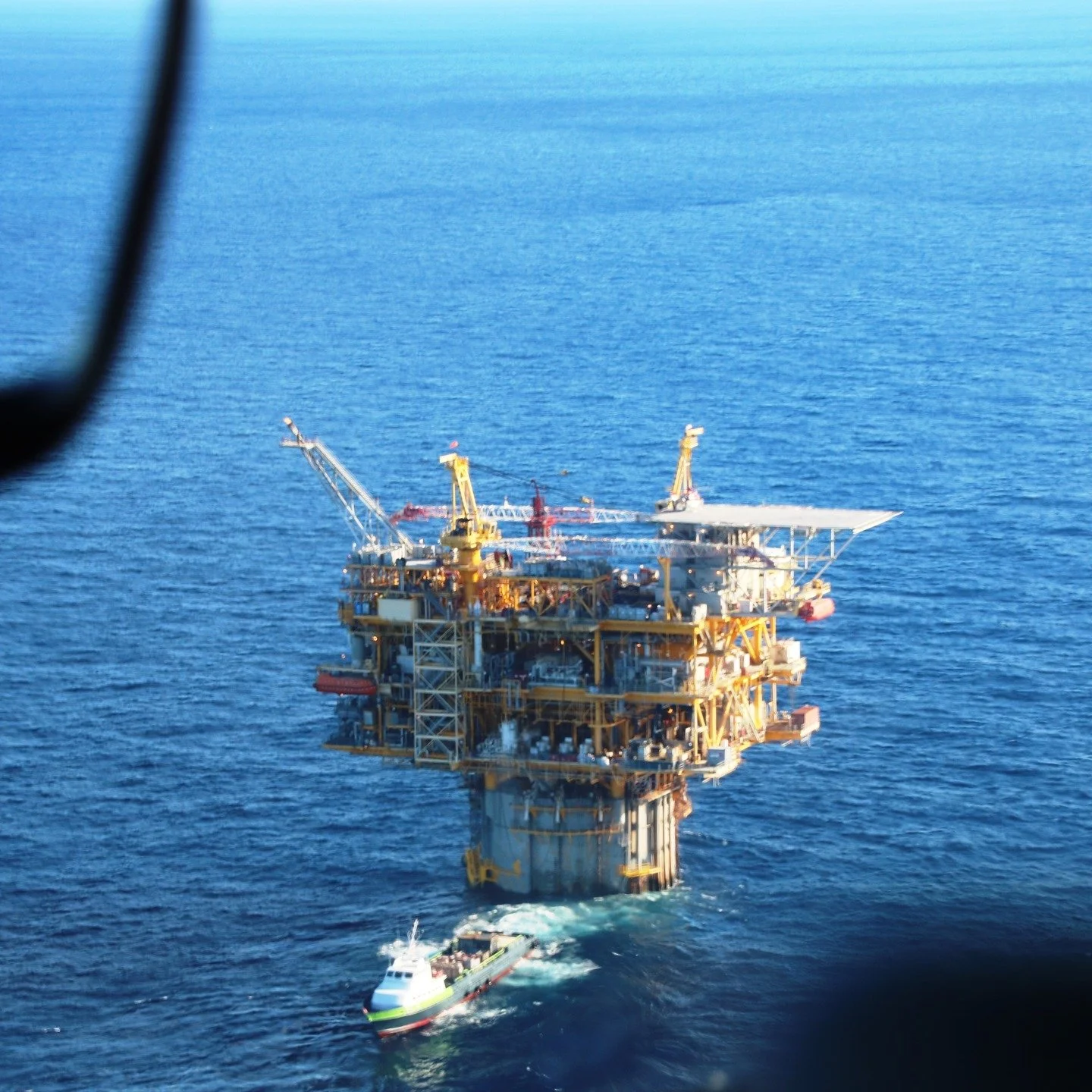 The Trump administration recently convened the so-called "God Squad", a rarely convened group with the power to remove Endangered Species Act (ESA) protections, most often for the sake of economic interests. In this case, the meeting was re