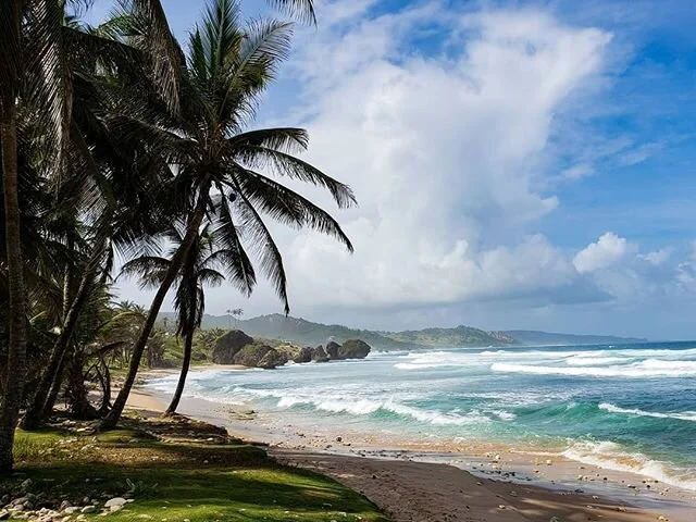 Atlantic shoreline in the Caribbean