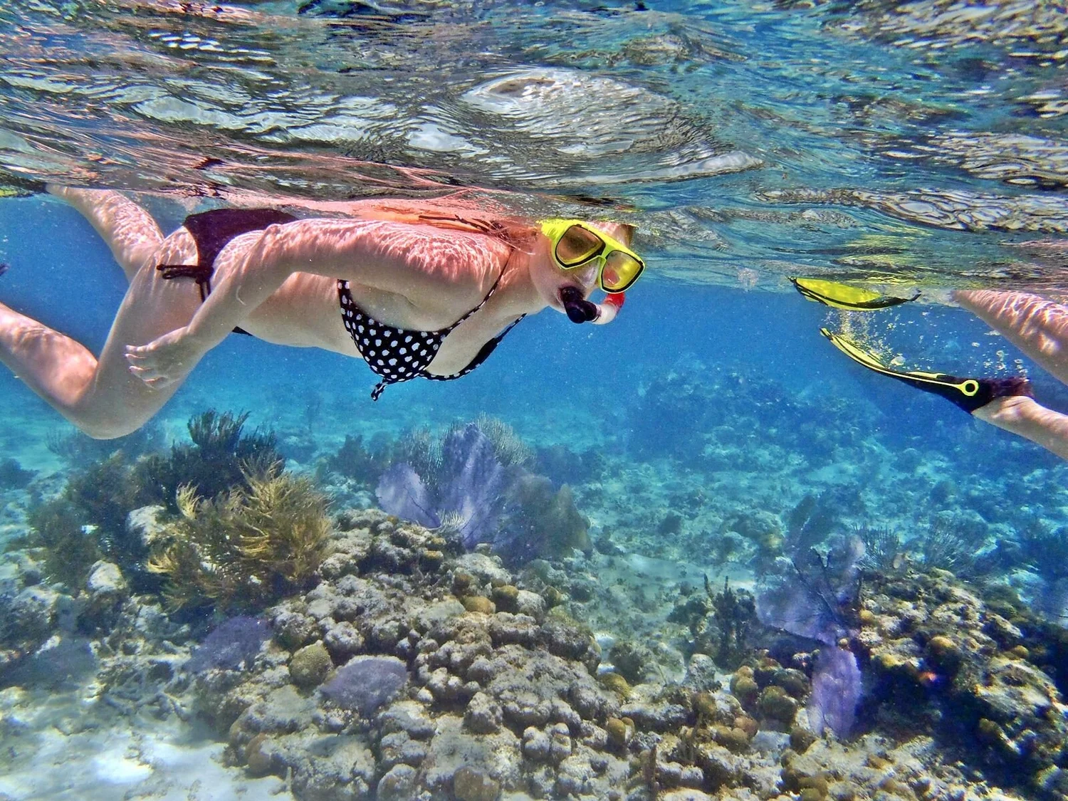 Snorkeling in Puerto Rico