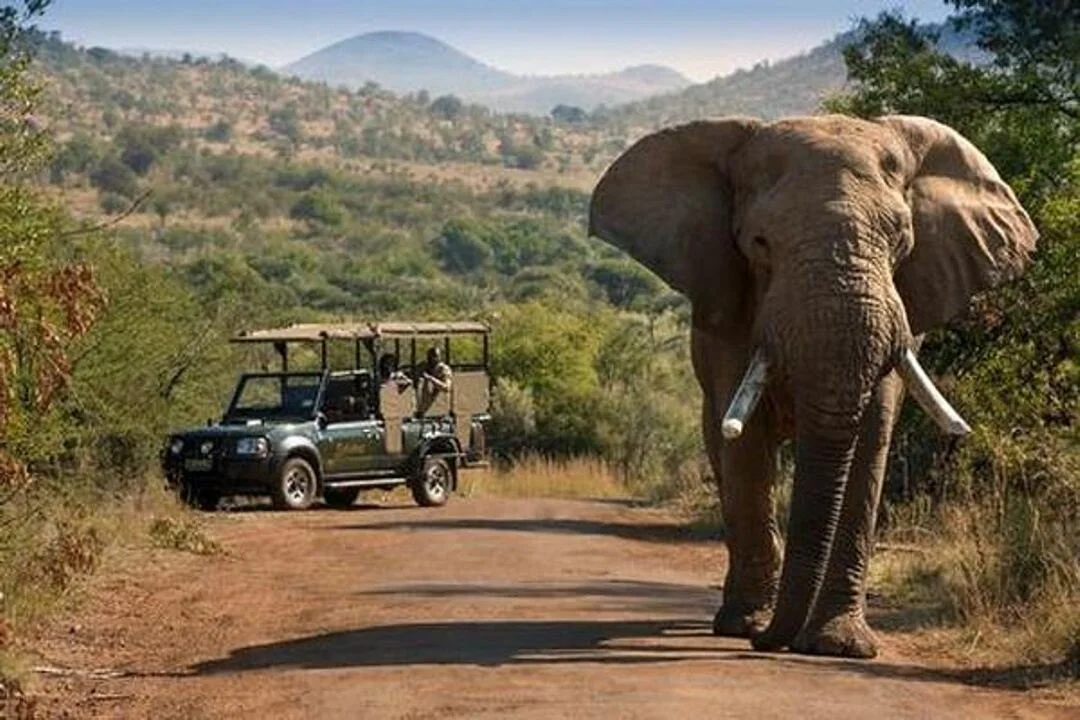 Pilanesberg reserve, South Africa