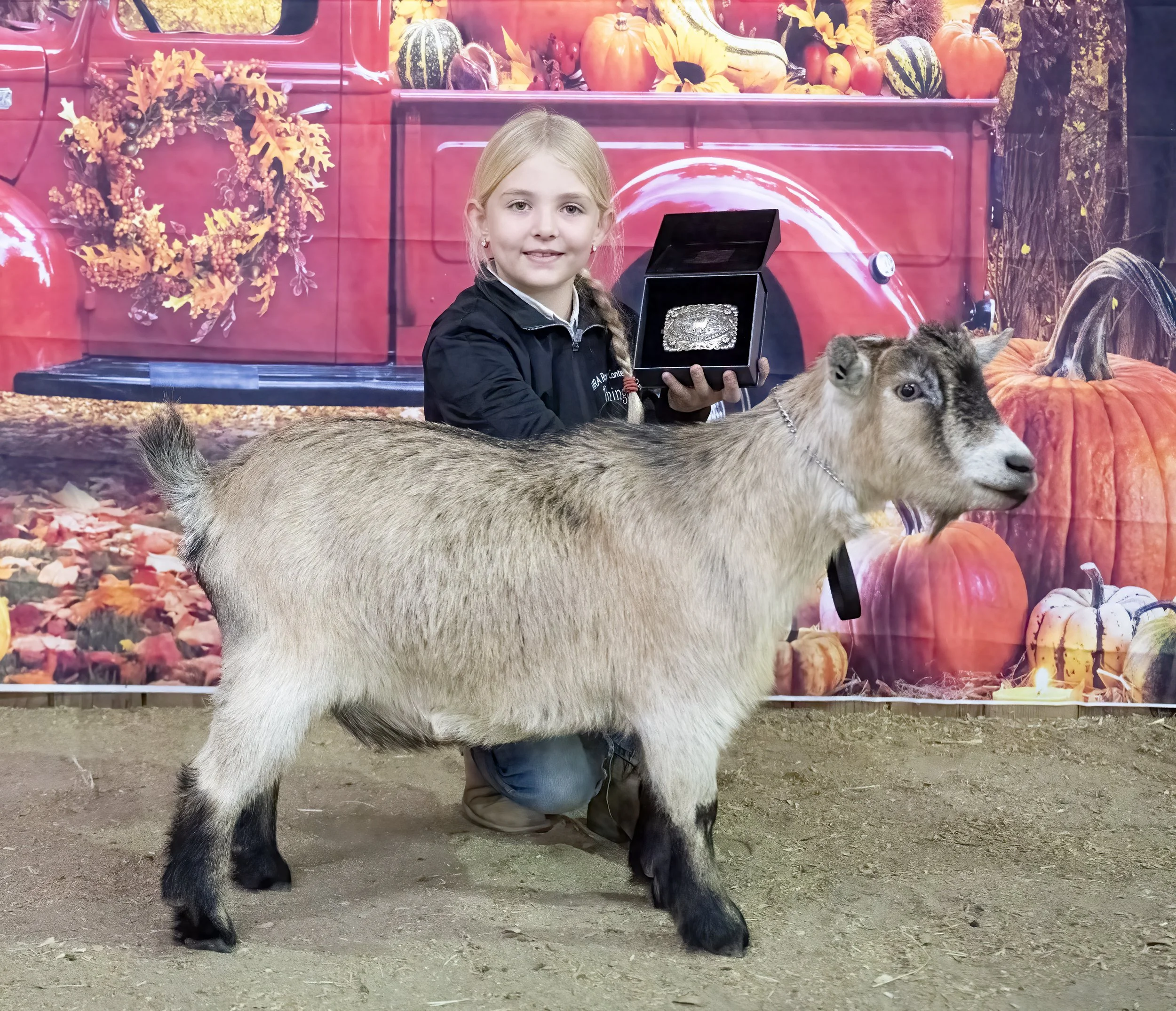 Showmanship Remington Keavy 3417 (1 of 1).JPG
