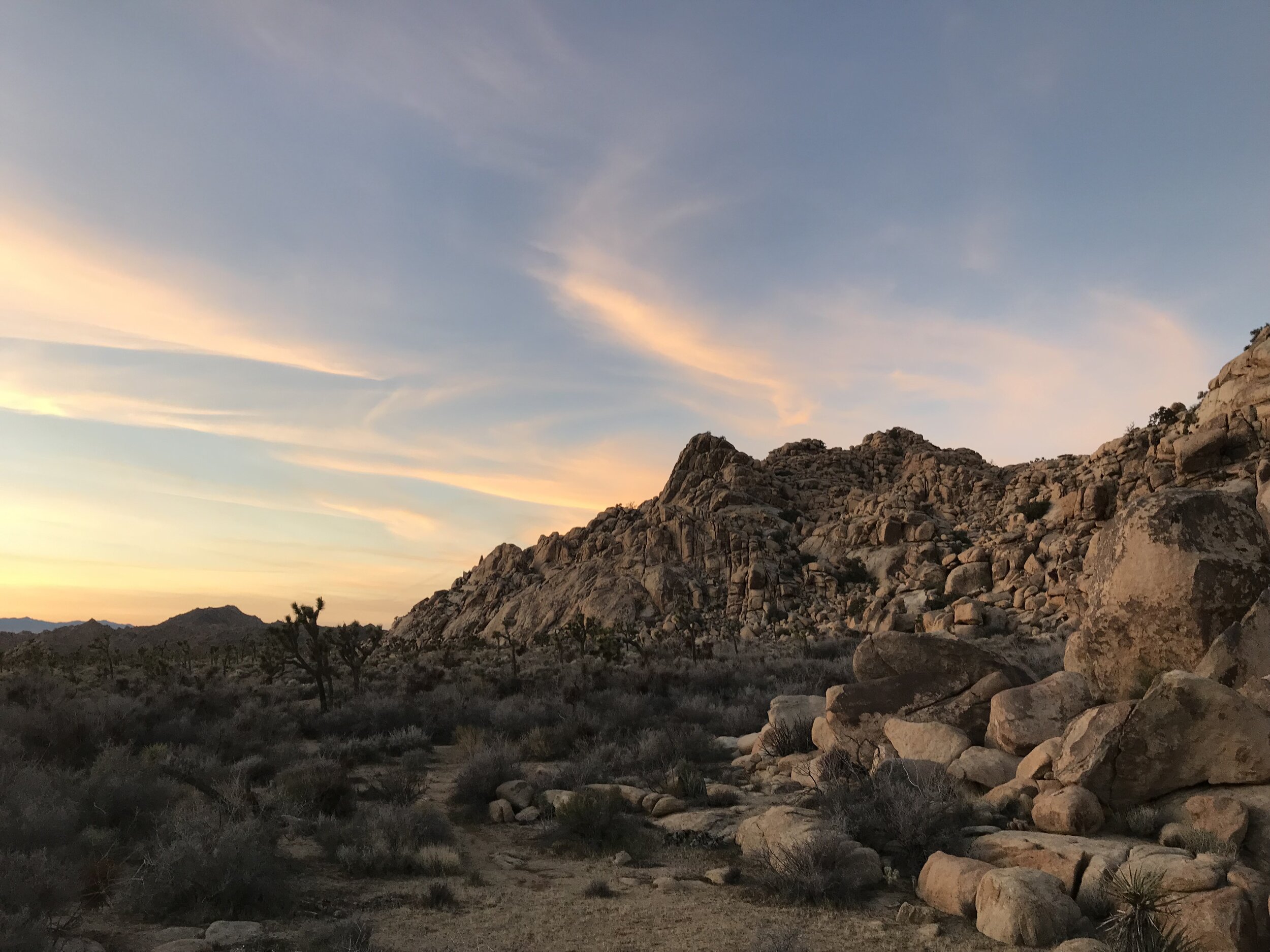 Joshua Tree National Park