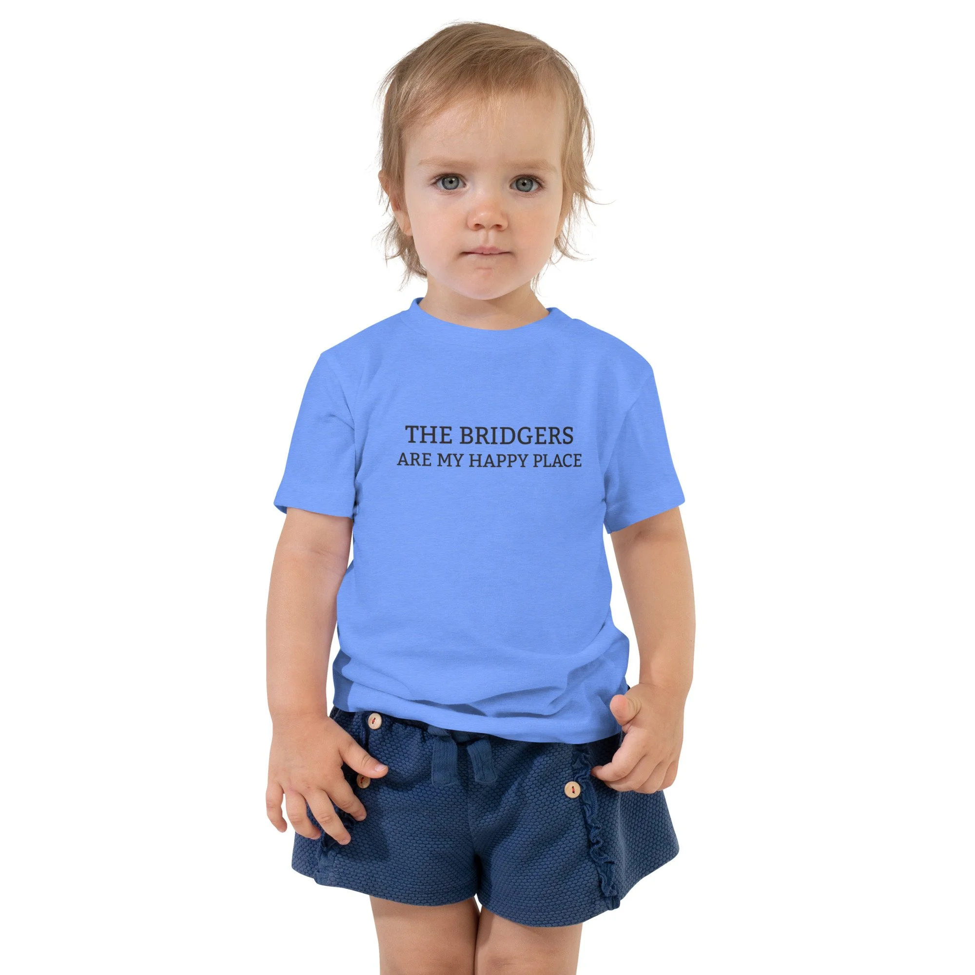 toddler-staple-tee-heather-columbia-blue-front-68941a88c582d.jpg