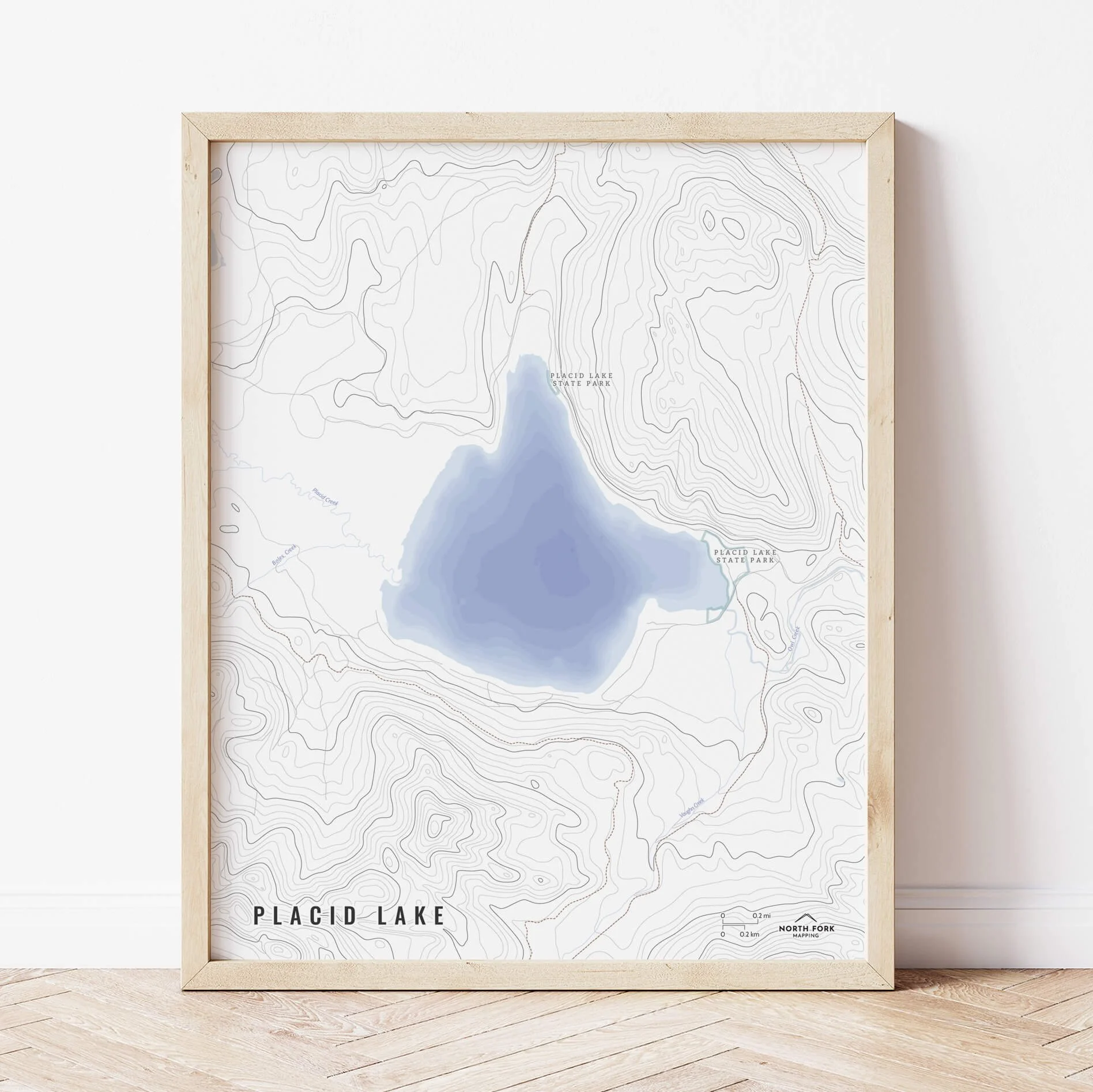 Placid-Lake-Map-Montana-North-Fork-Mapping.jpg