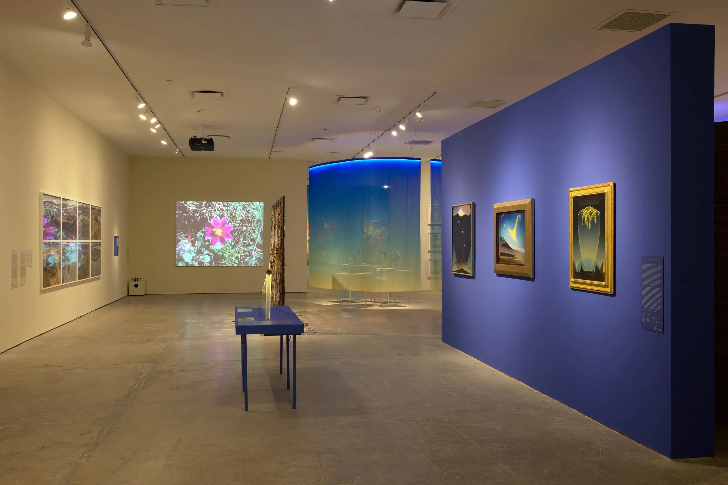 20250723 SITE 003480.jpg