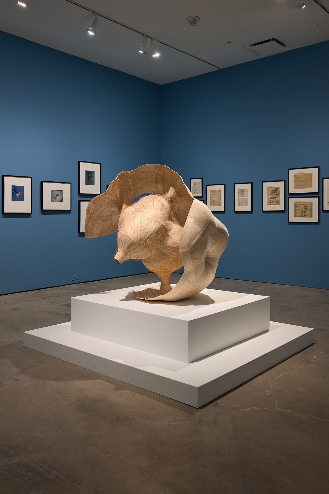 20250701 SITE1965_HDR.jpg